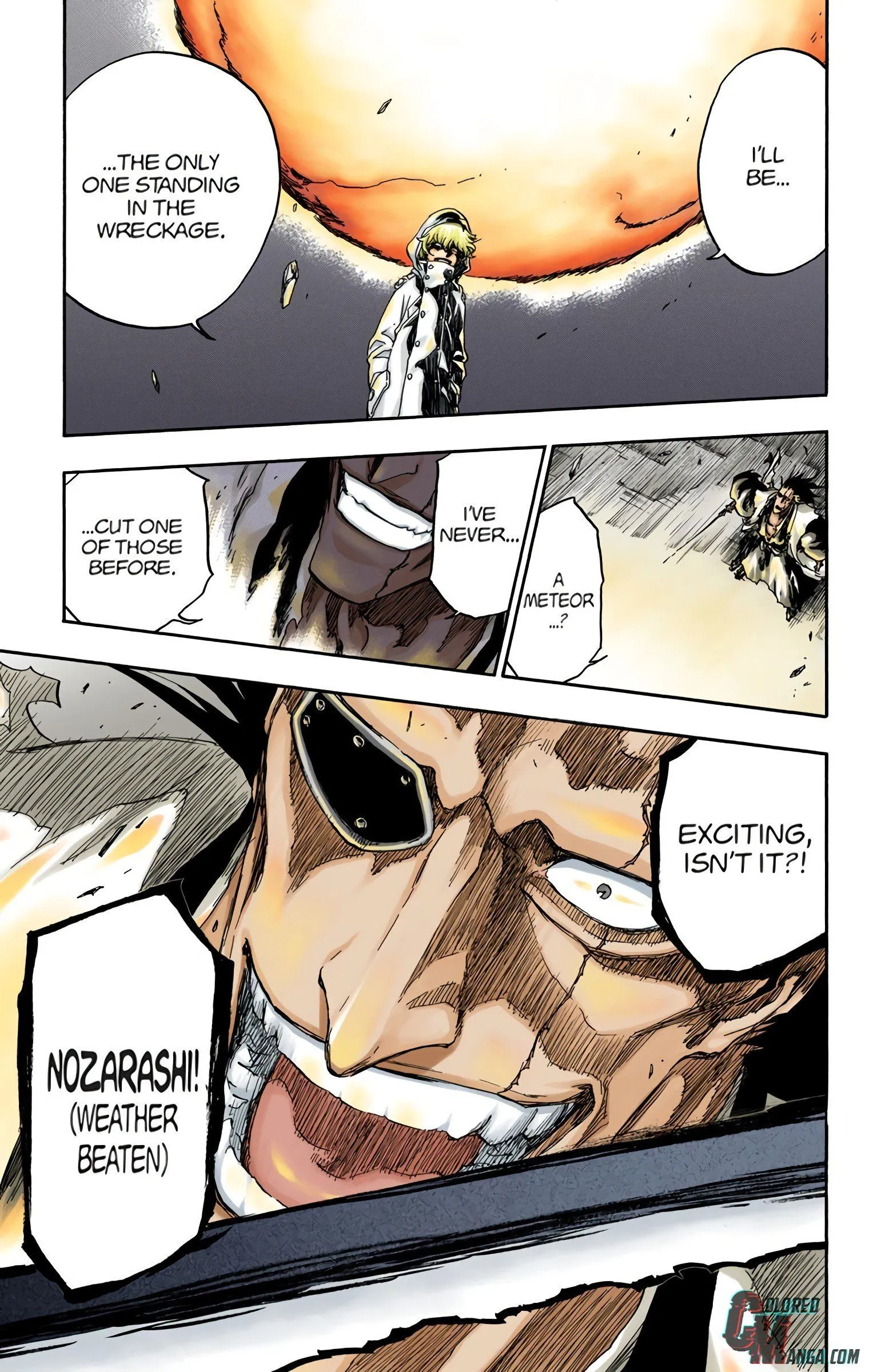 Read Bleach (Colored) EN Manga Online