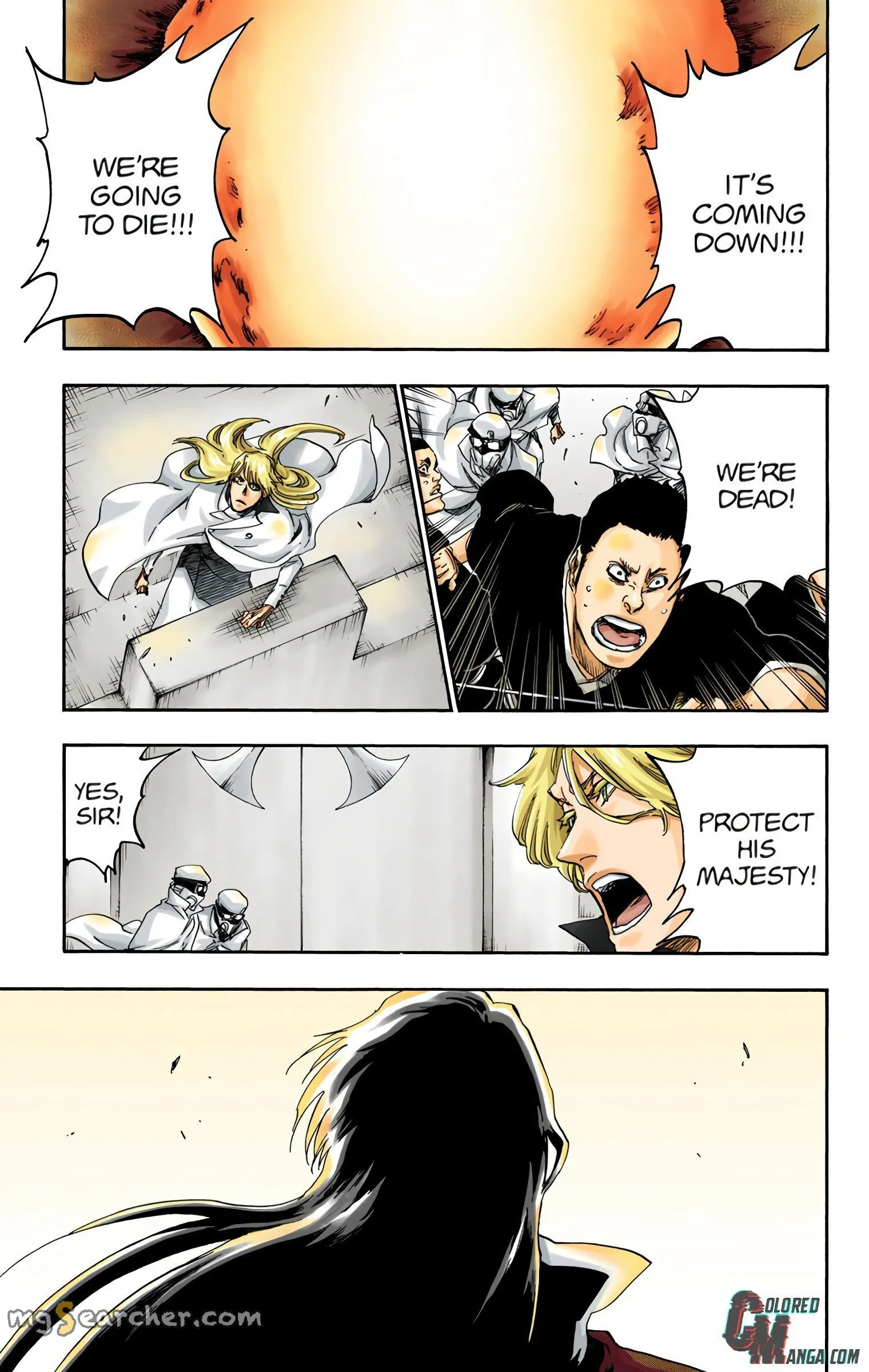 Read Bleach (Colored) EN Manga Online