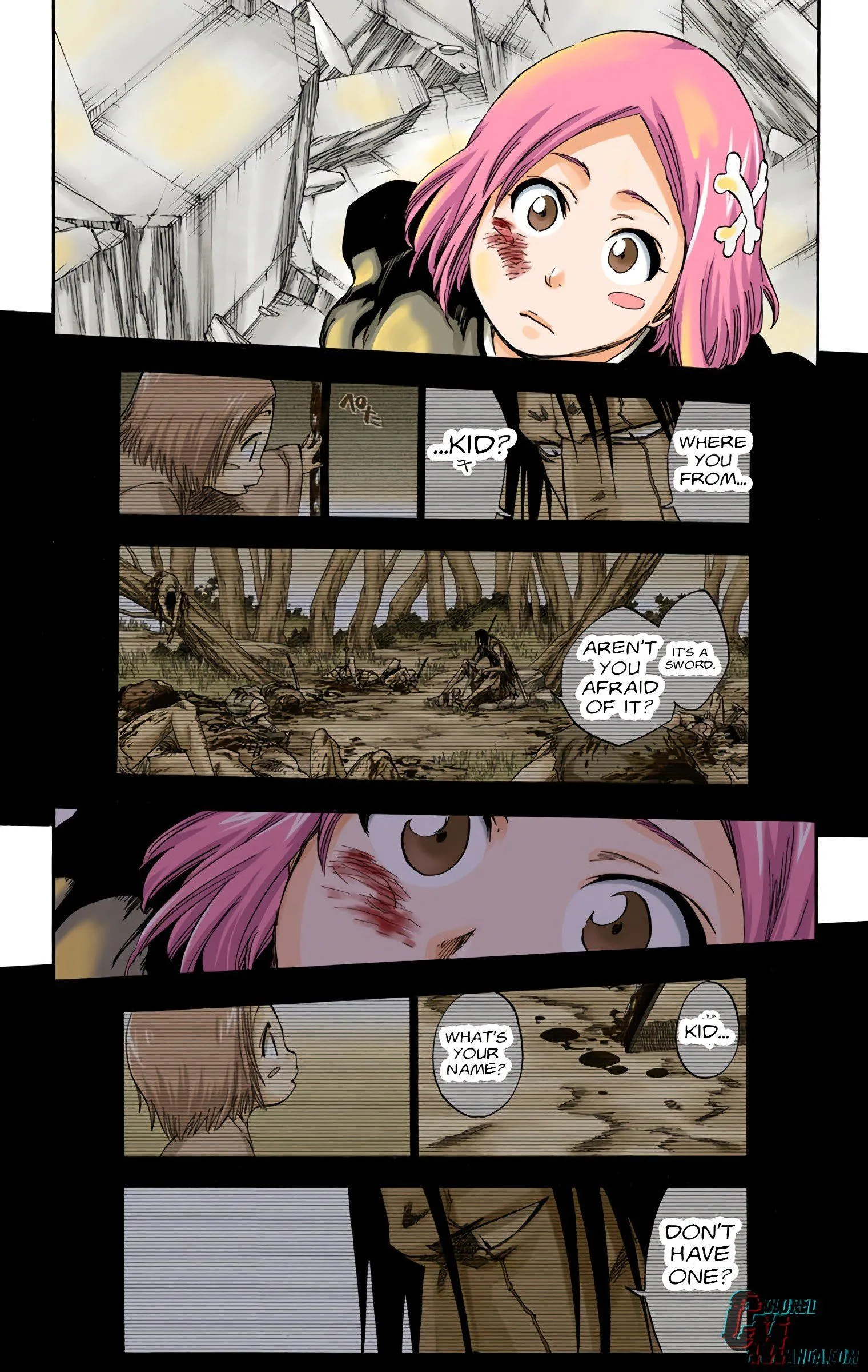 Read Bleach (Colored) EN Manga Online