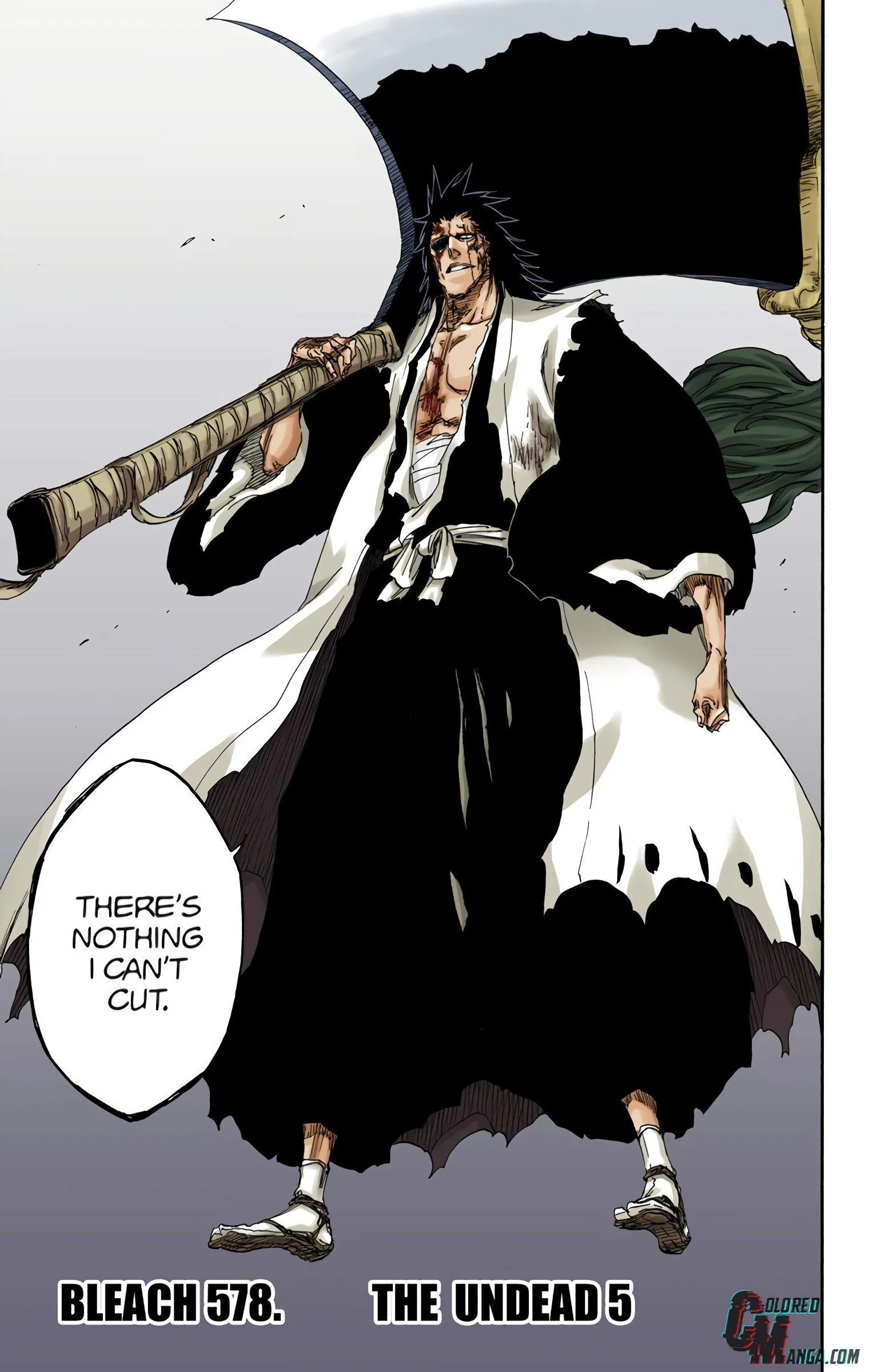 Read Bleach (Colored) EN Manga Online