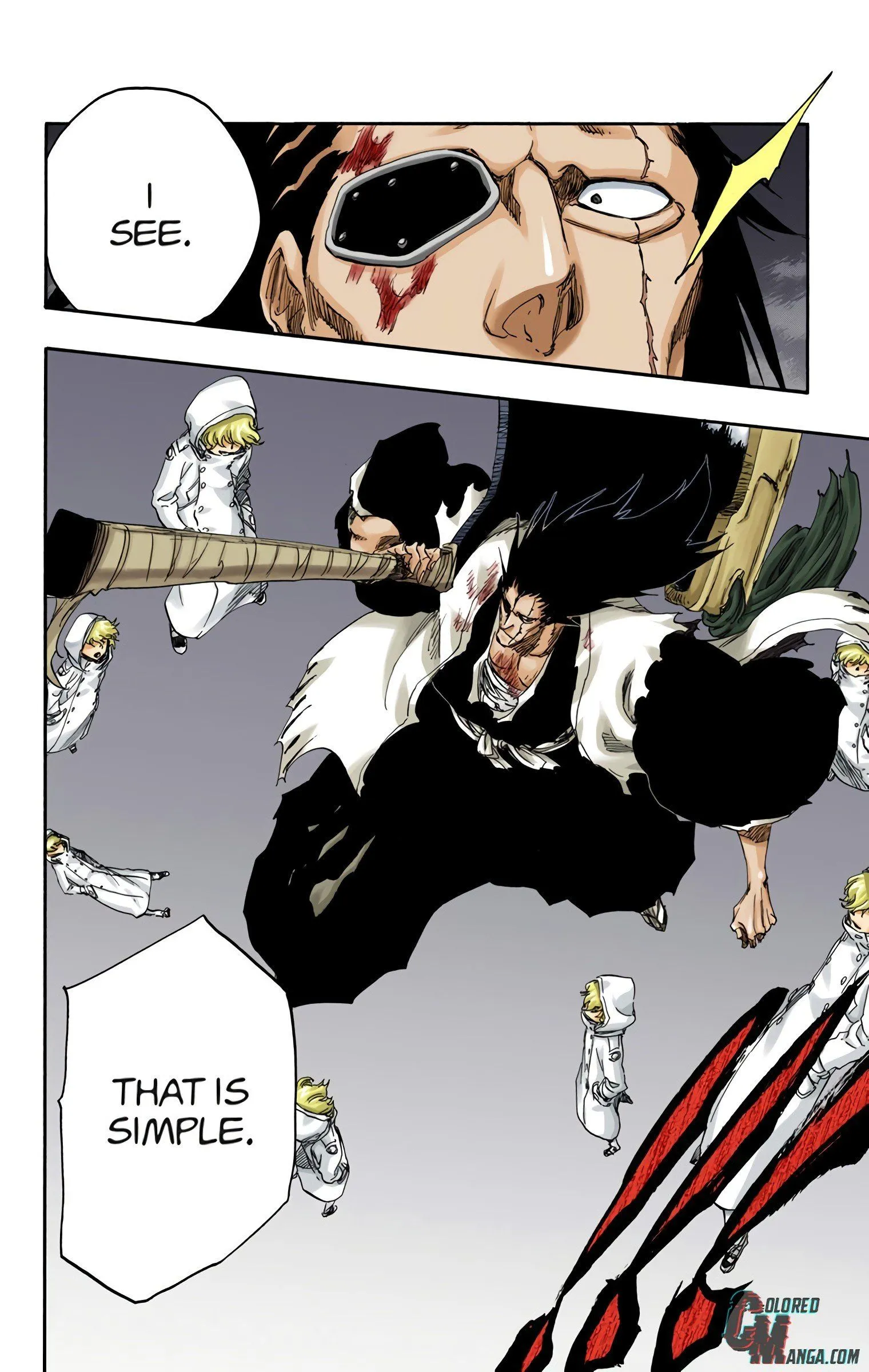 Read Bleach (Colored) EN Manga Online