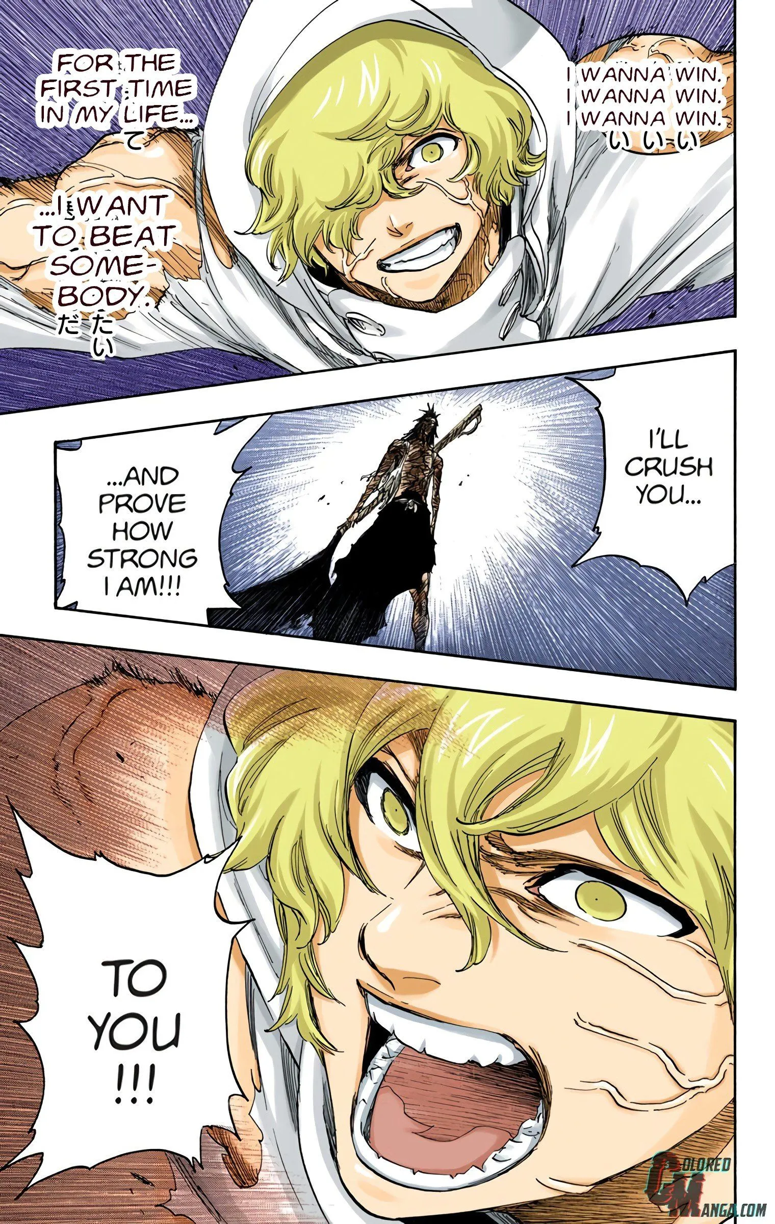 Read Bleach (Colored) EN Manga Online