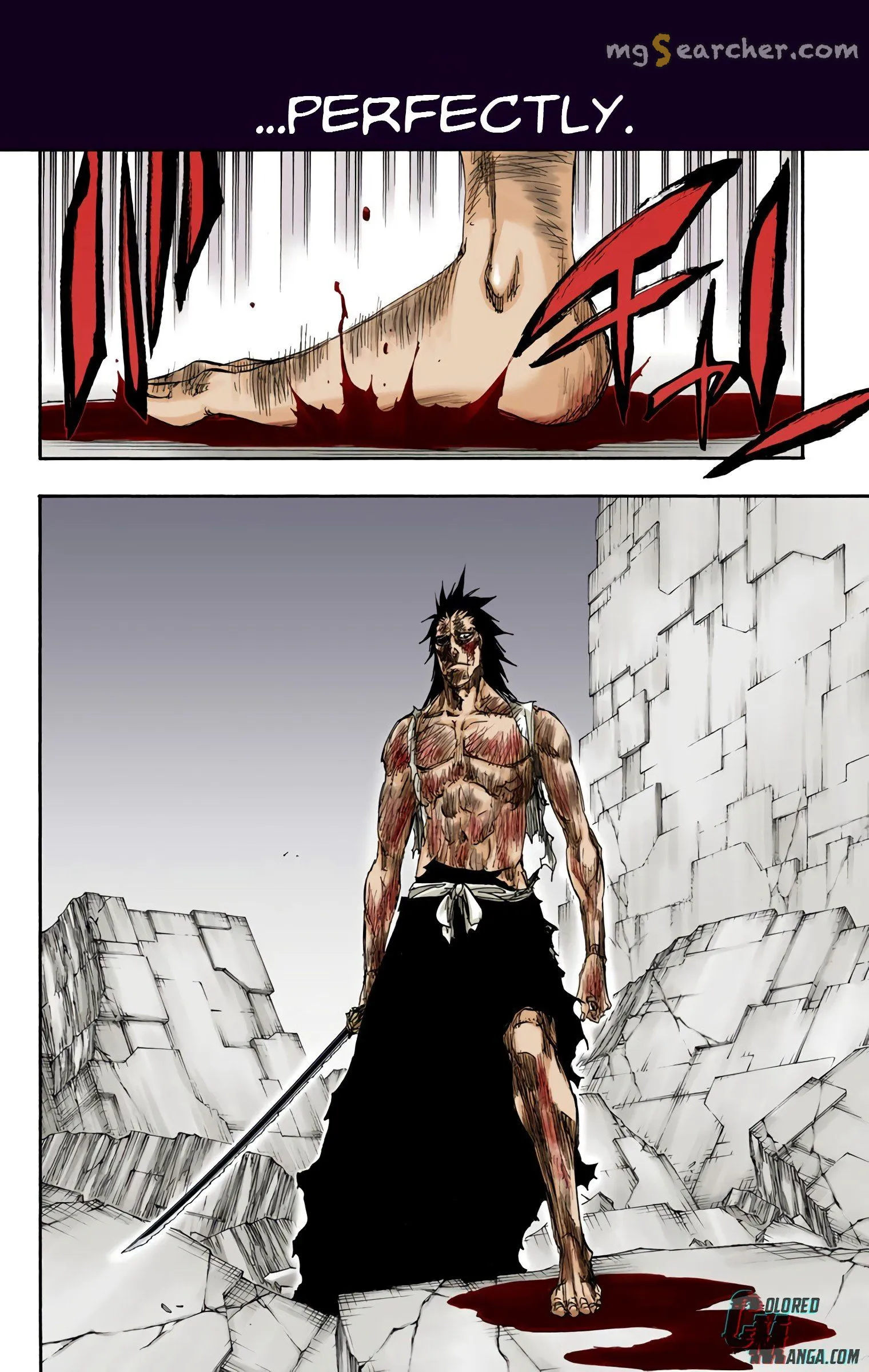 Read Bleach (Colored) EN Manga Online
