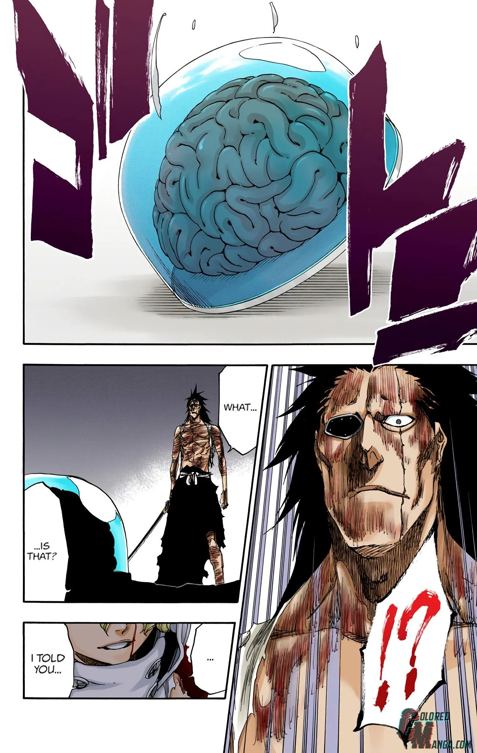 Read Bleach (Colored) EN Manga Online