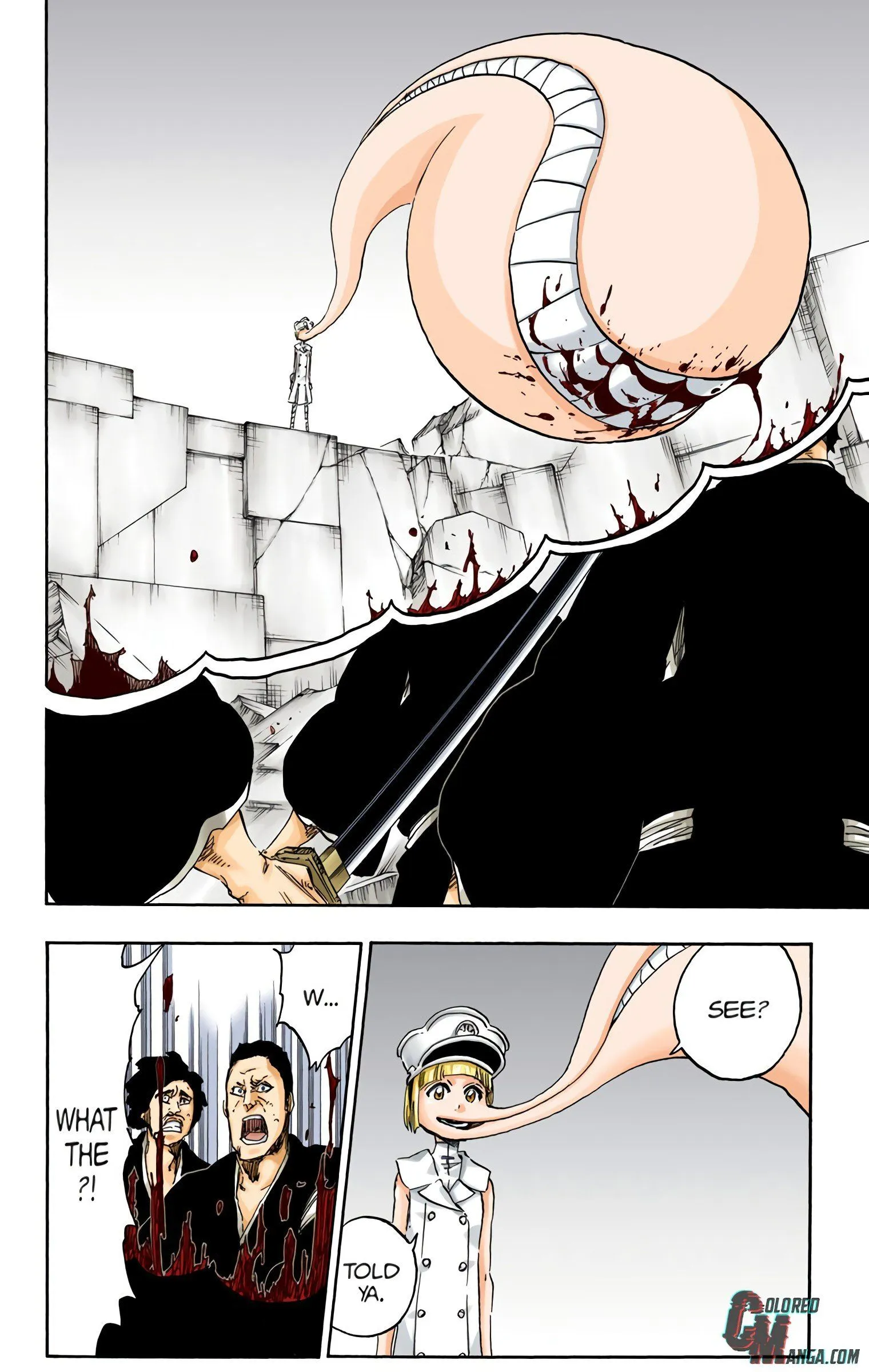 Read Bleach (Colored) EN Manga Online