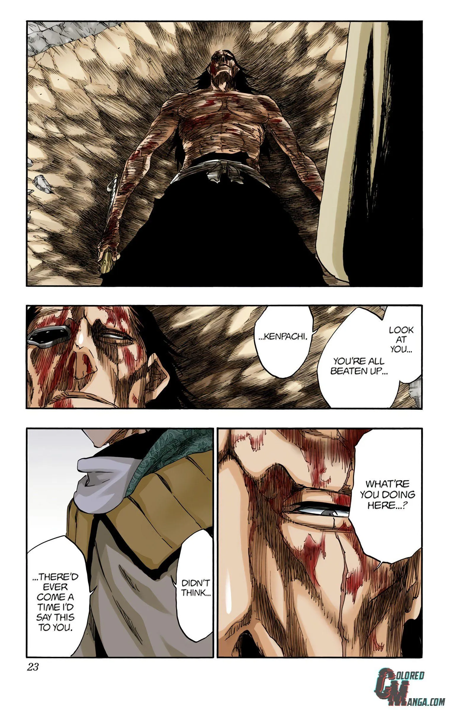 Read Bleach (Colored) EN Manga Online