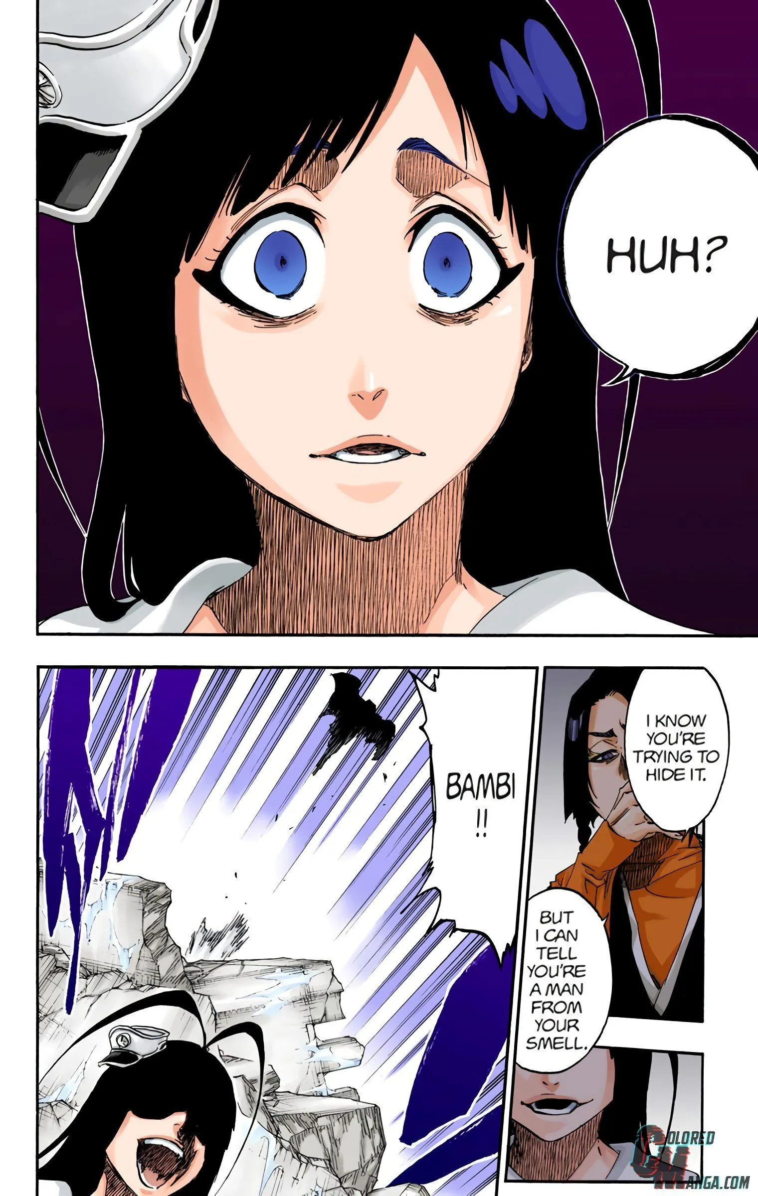 Read Bleach (Colored) EN Manga Online