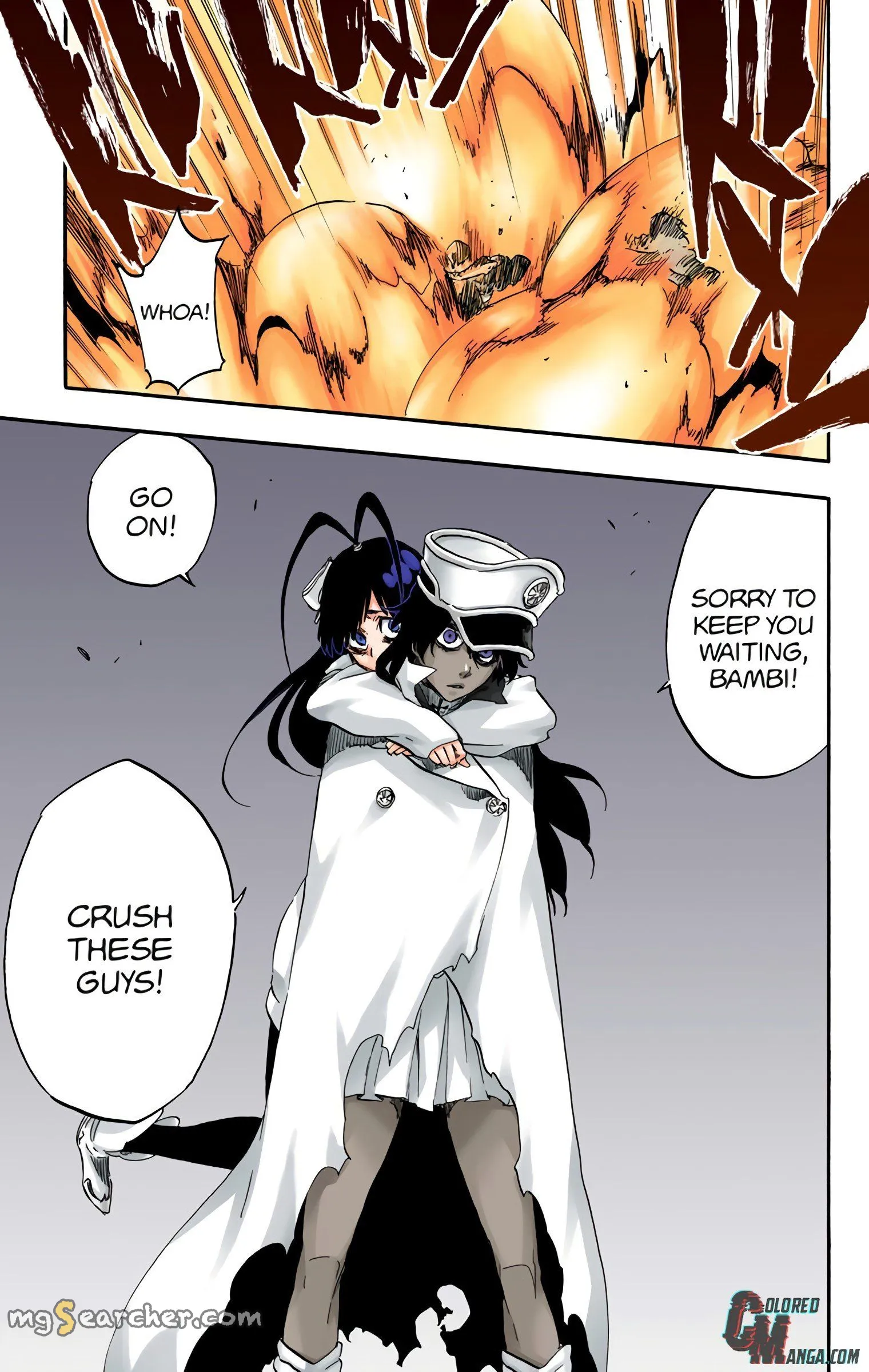 Read Bleach (Colored) EN Manga Online