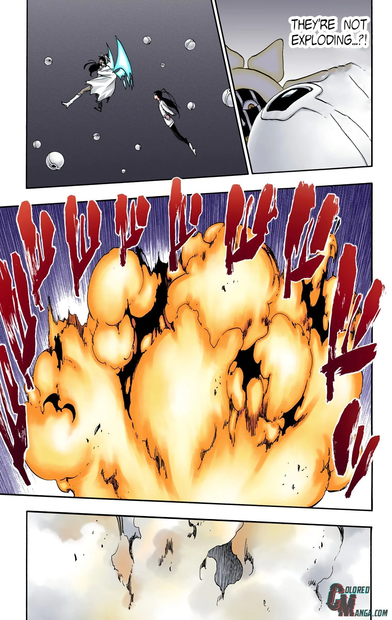 Read Bleach (Colored) EN Manga Online