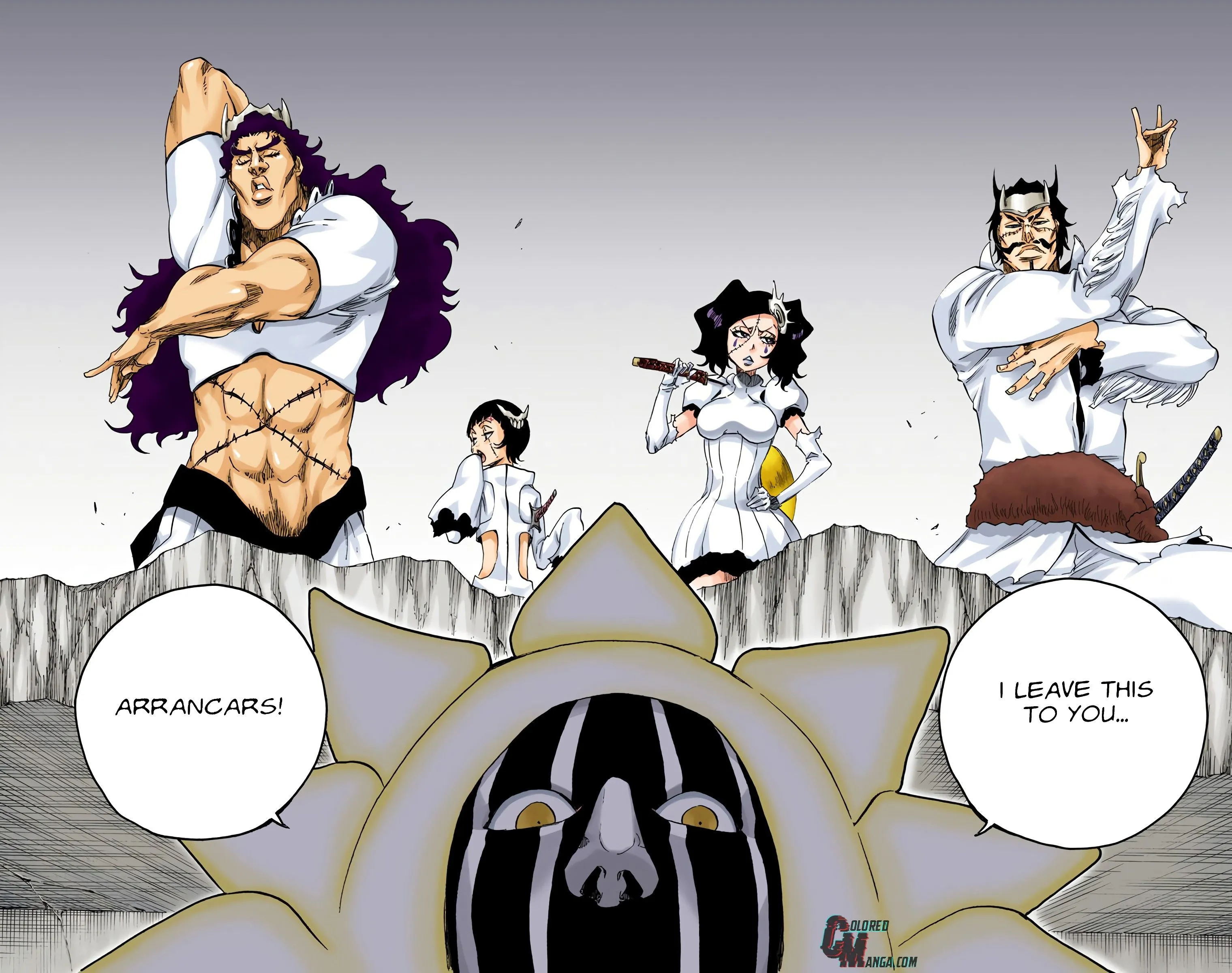 Read Bleach (Colored) EN Manga Online