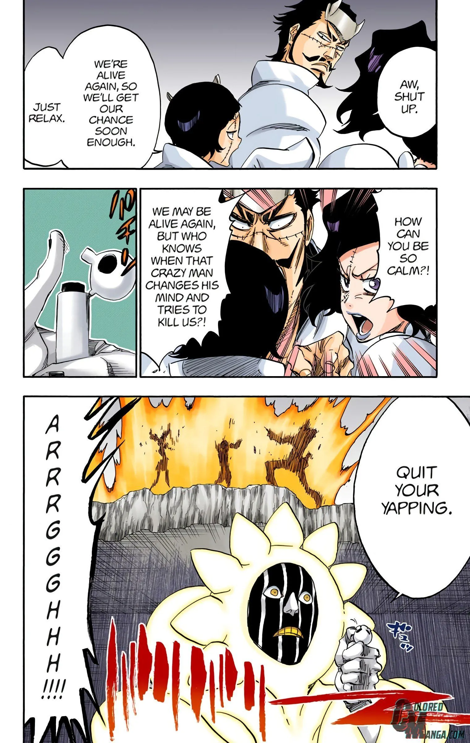 Read Bleach (Colored) EN Manga Online