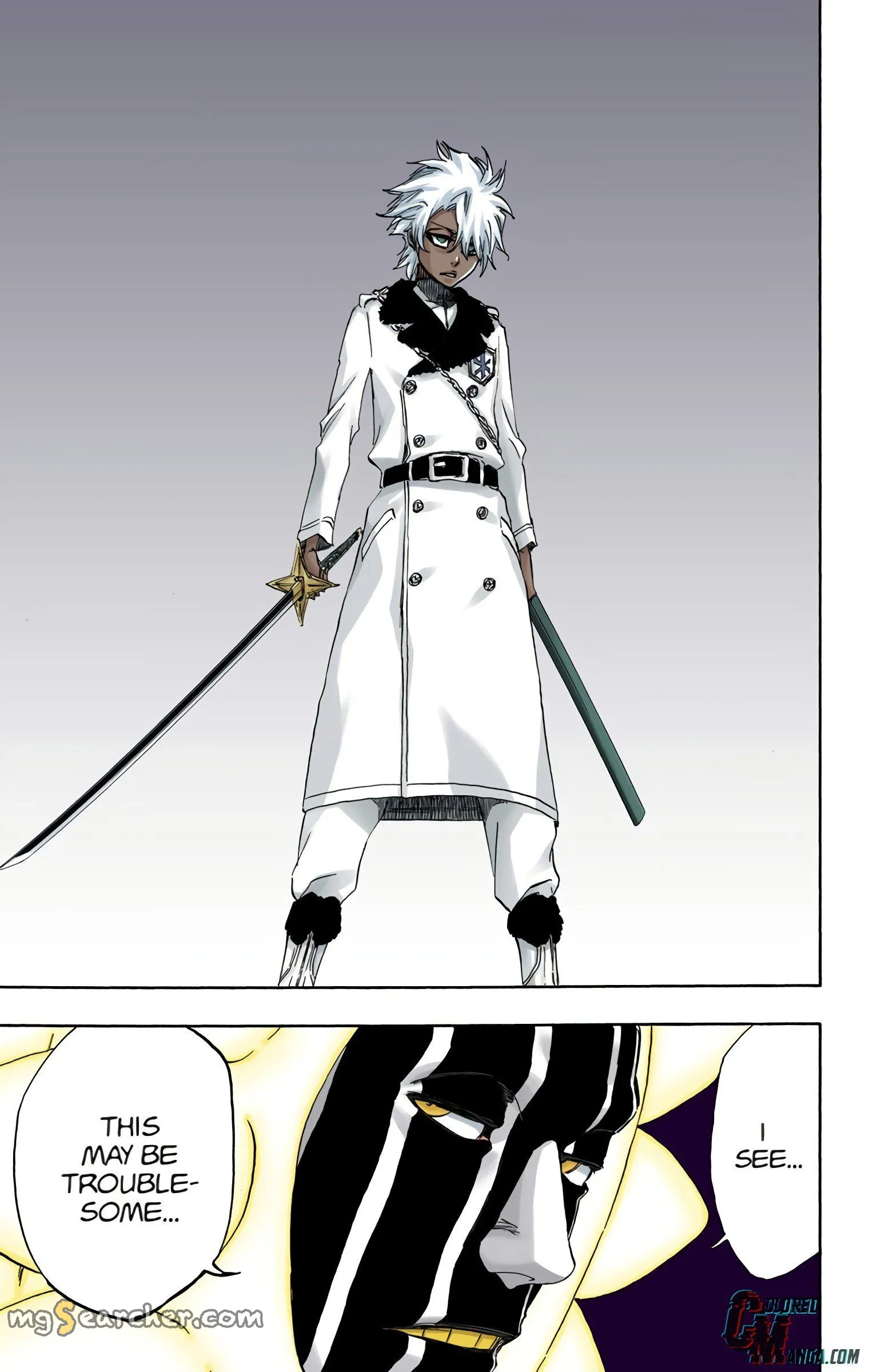 Read Bleach (Colored) EN Manga Online