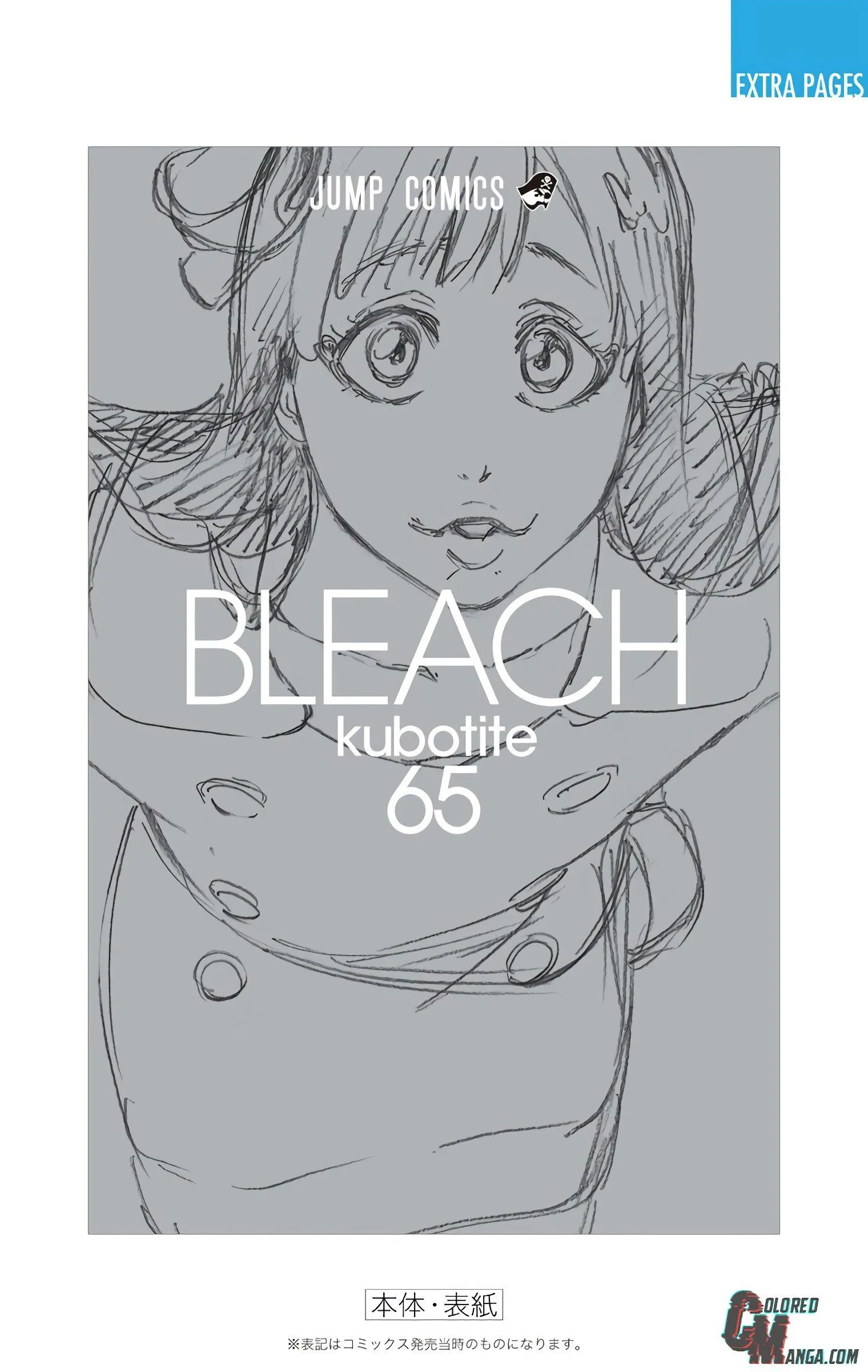 Read Bleach (Colored) EN Manga Online