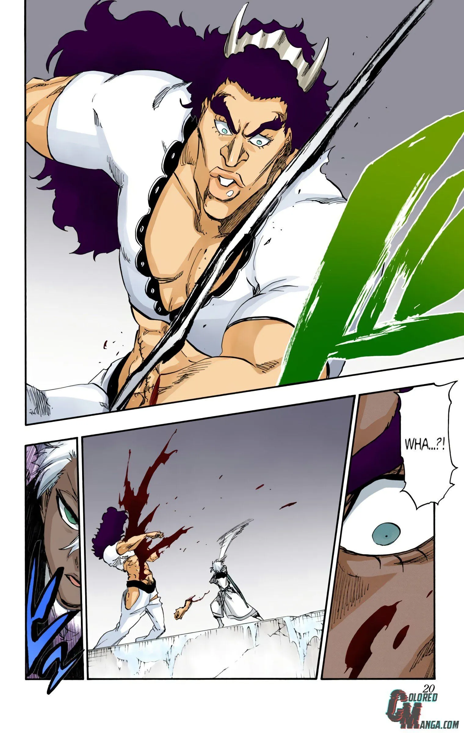 Read Bleach (Colored) EN Manga Online