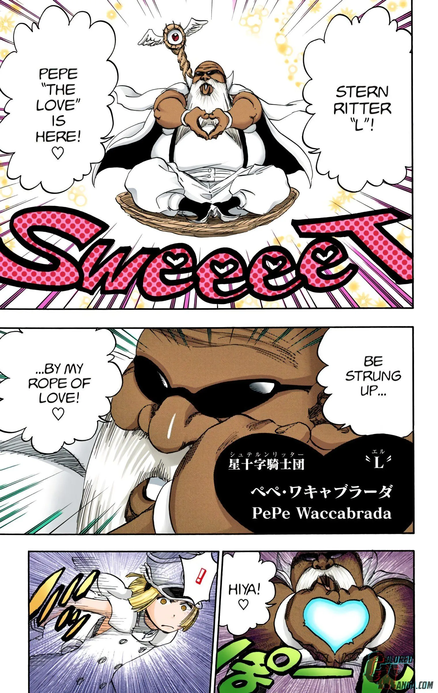 Read Bleach (Colored) EN Manga Online
