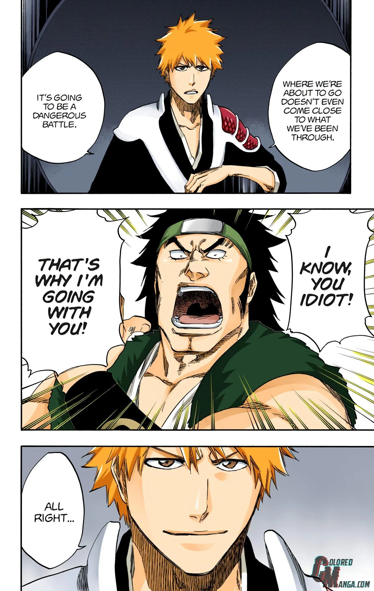 Read Bleach (Colored) EN Manga Online