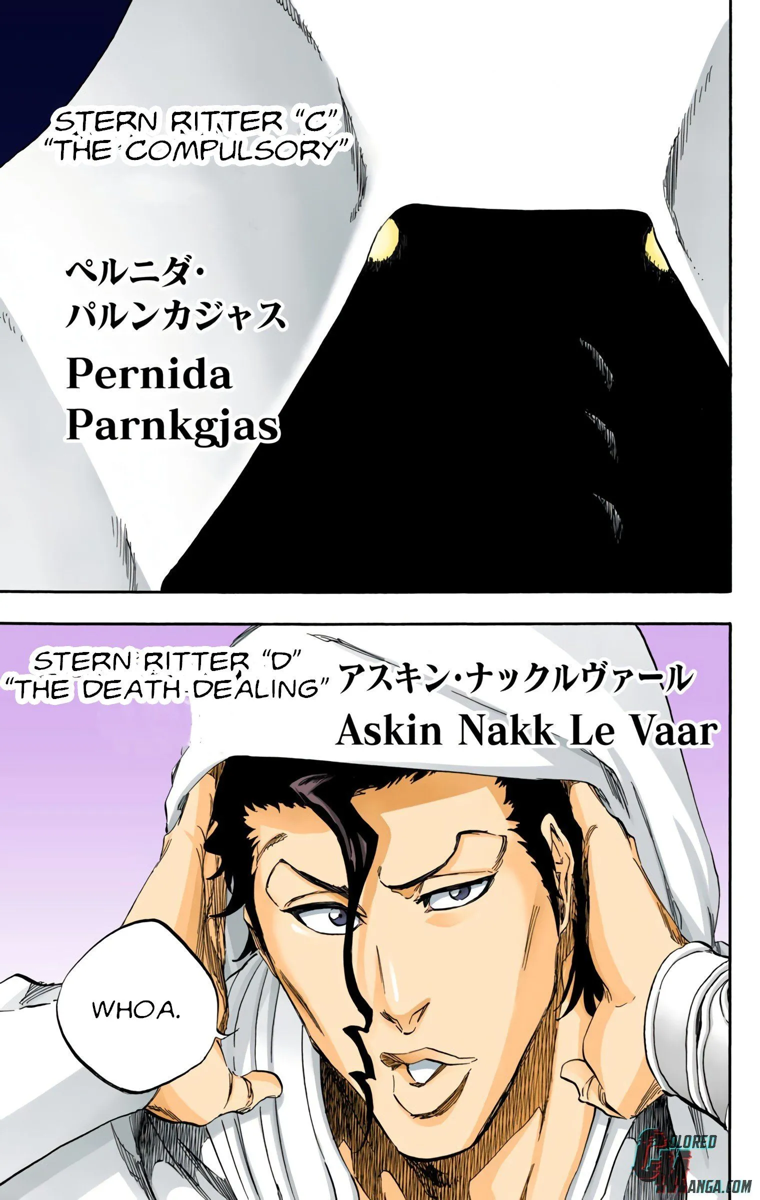 Read Bleach (Colored) EN Manga Online