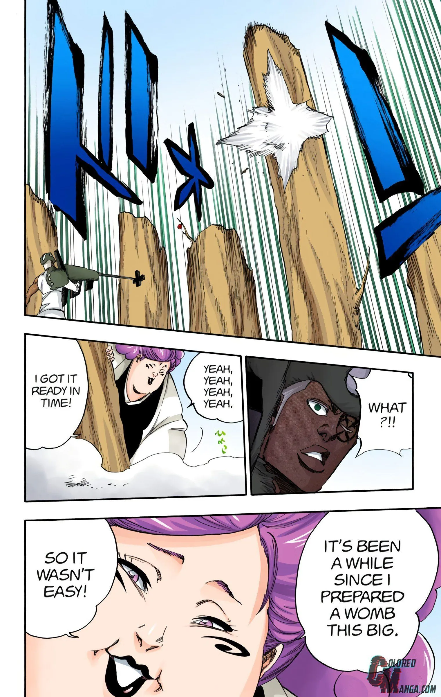 Read Bleach (Colored) EN Manga Online