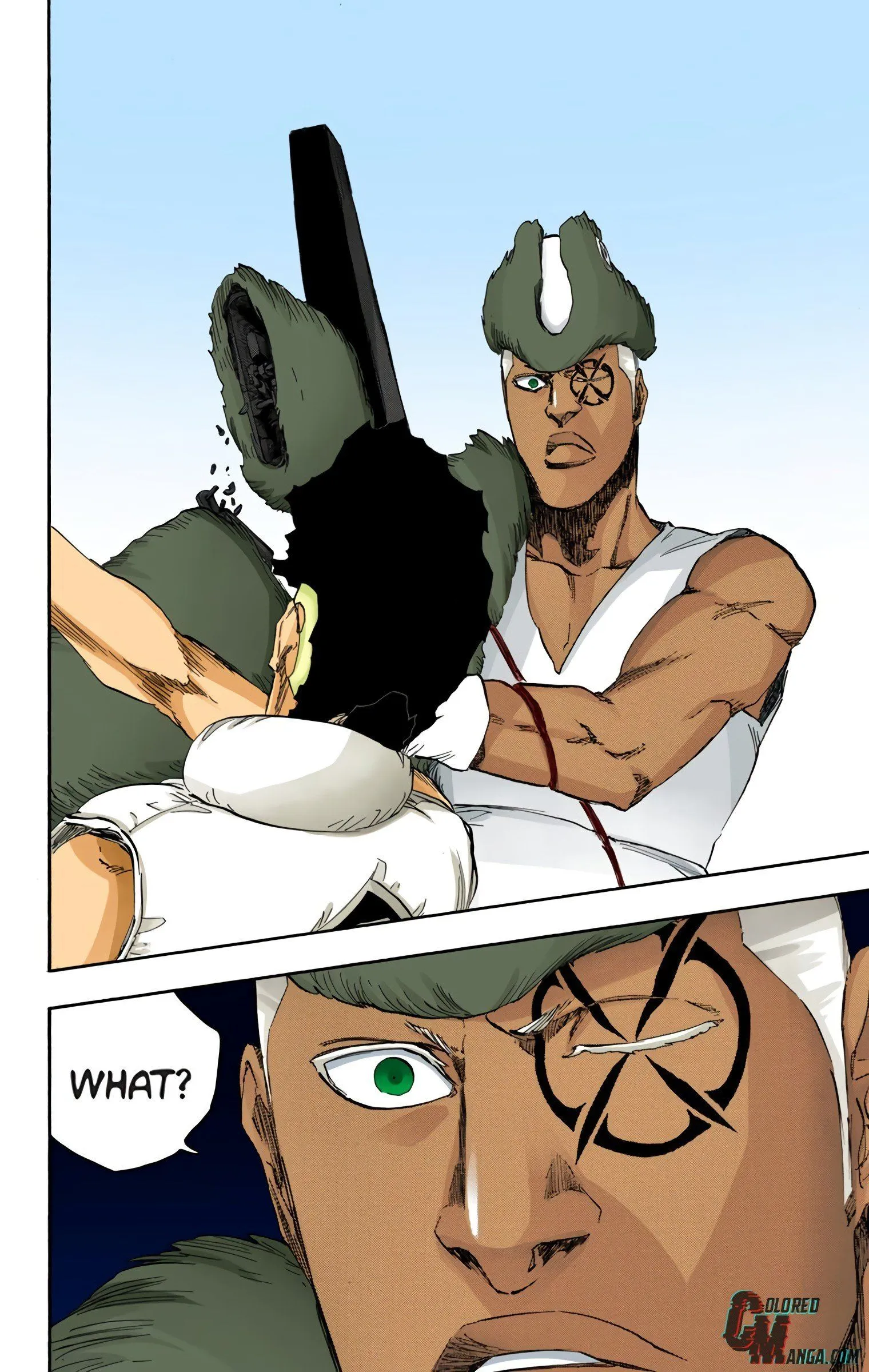 Read Bleach (Colored) EN Manga Online