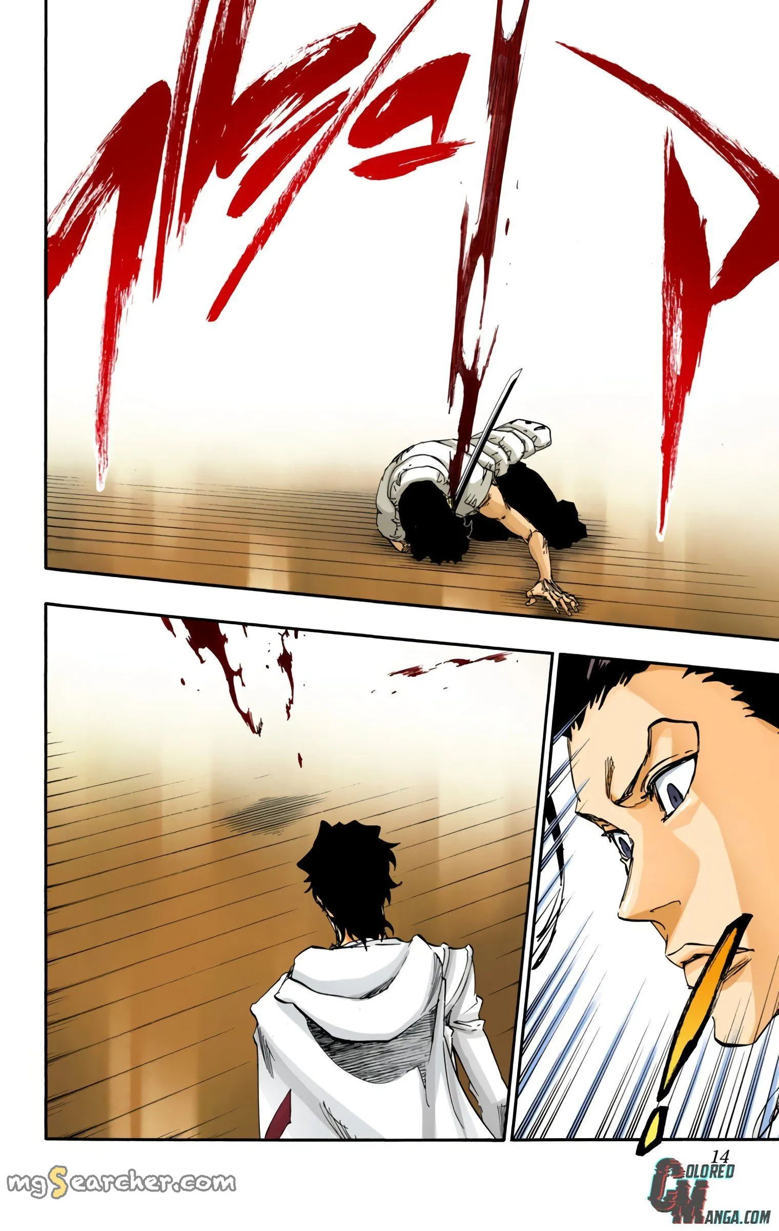 Read Bleach (Colored) EN Manga Online