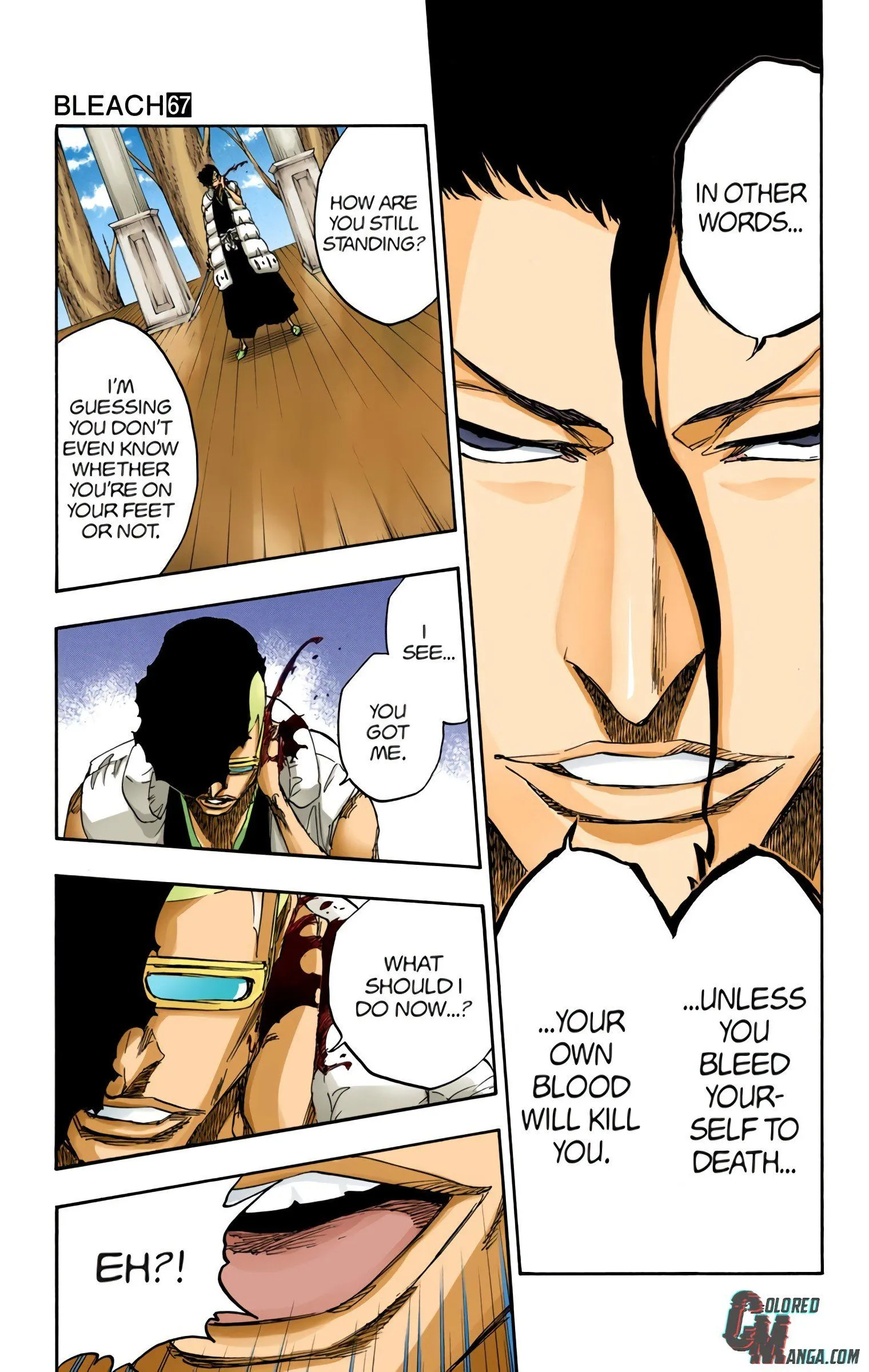 Read Bleach (Colored) EN Manga Online