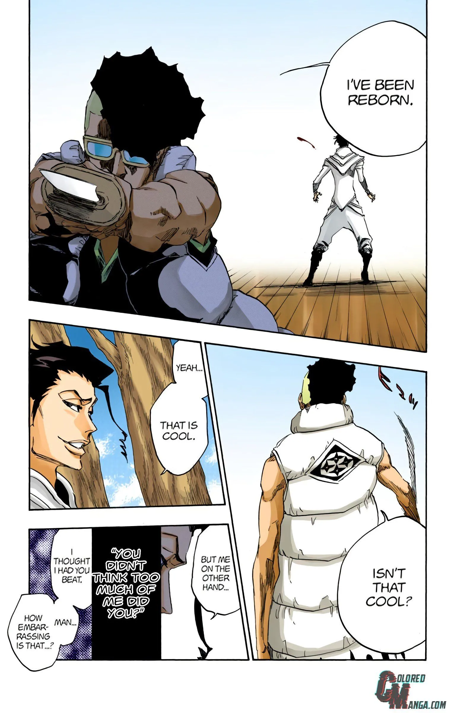 Read Bleach (Colored) EN Manga Online