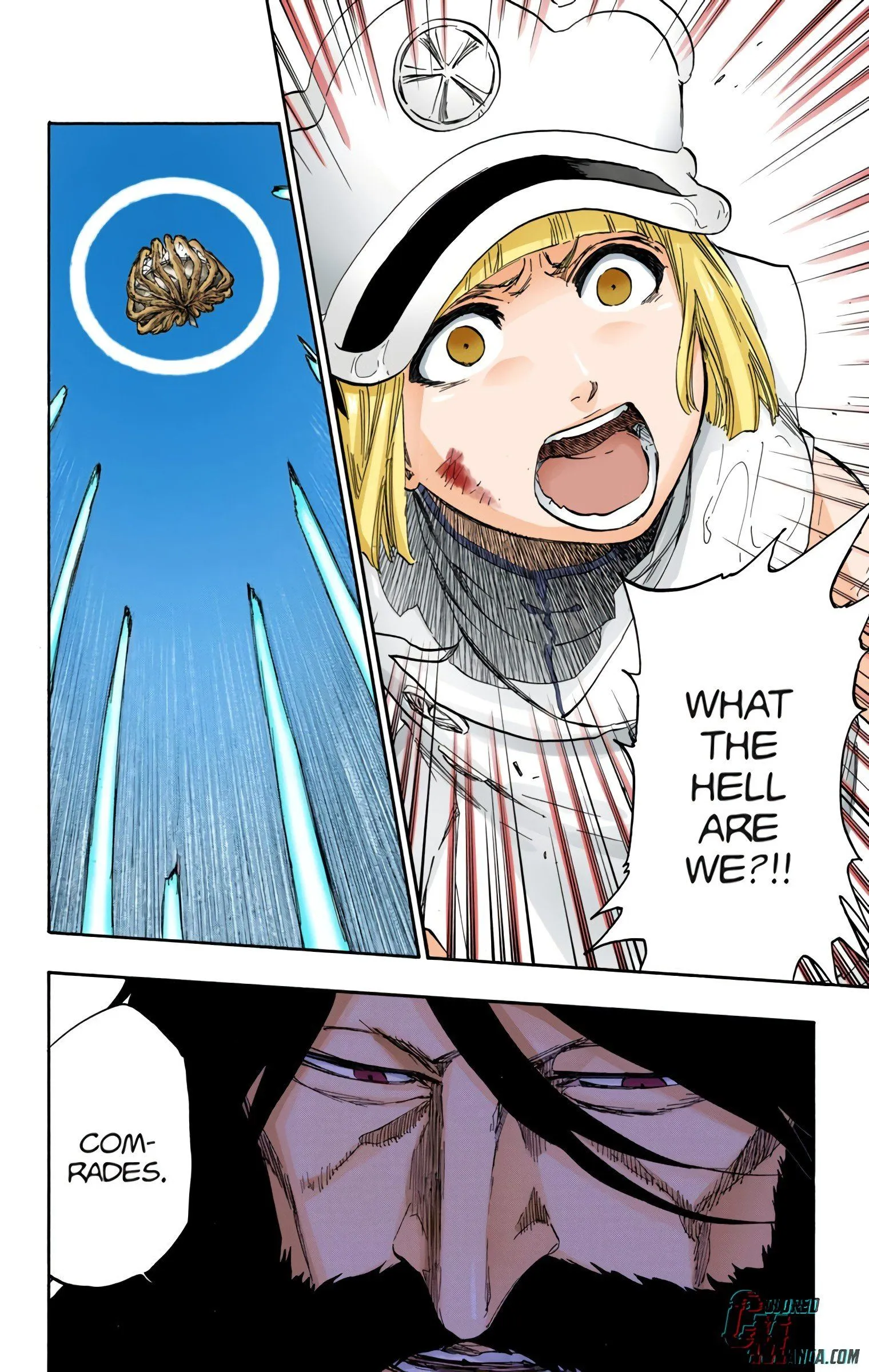 Read Bleach (Colored) EN Manga Online
