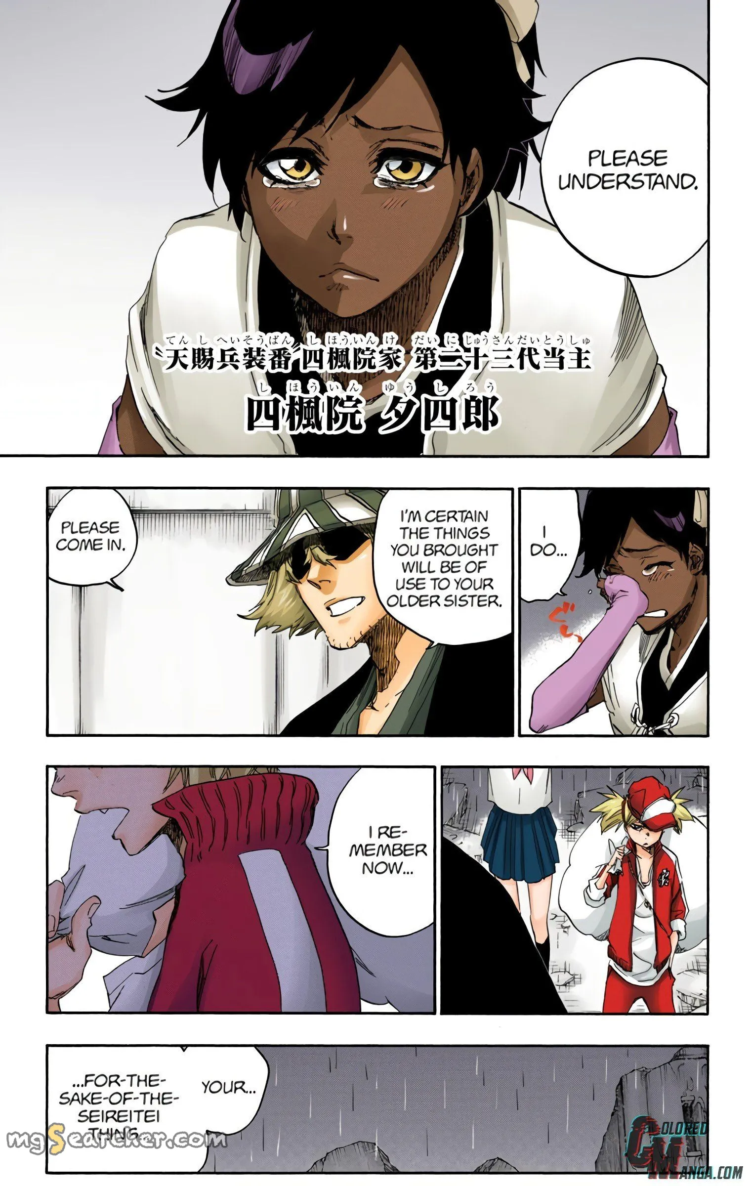 Read Bleach (Colored) EN Manga Online