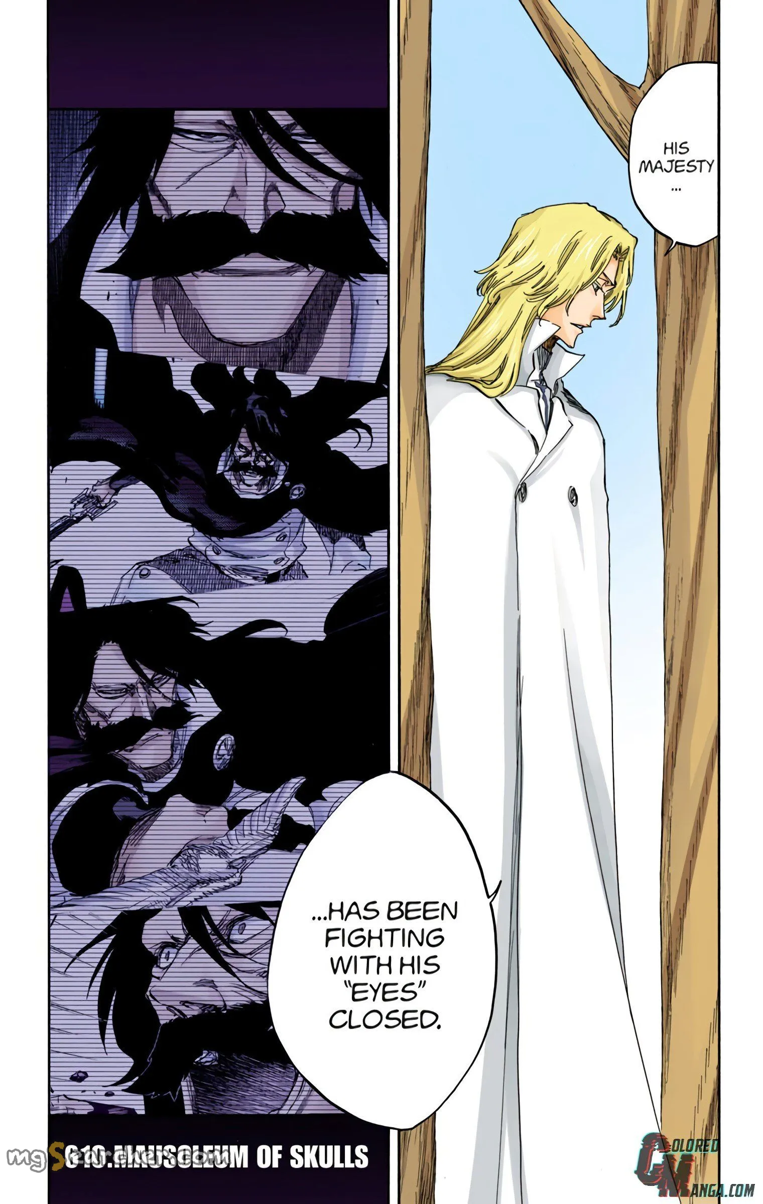 Read Bleach (Colored) EN Manga Online