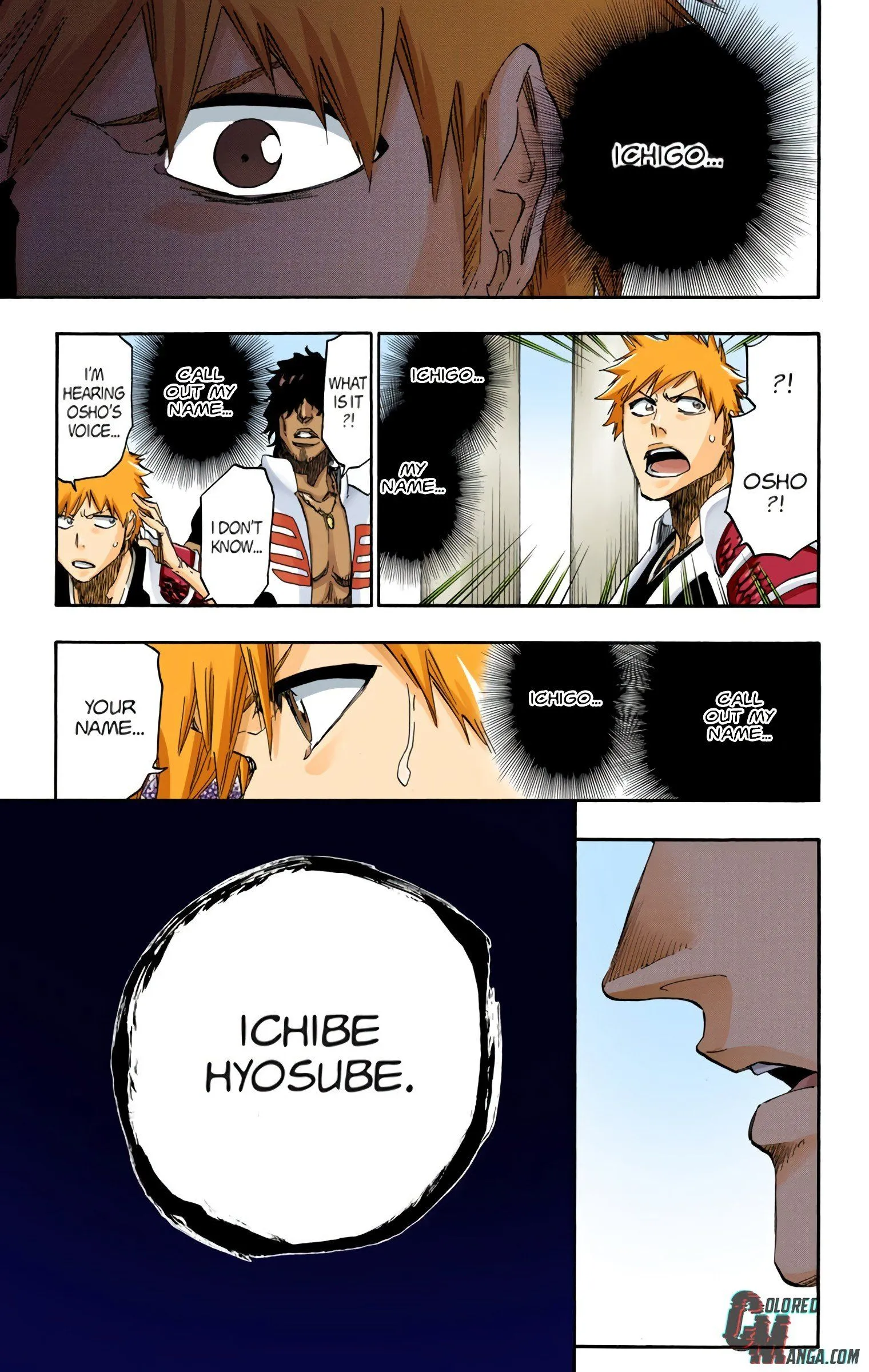 Read Bleach (Colored) EN Manga Online