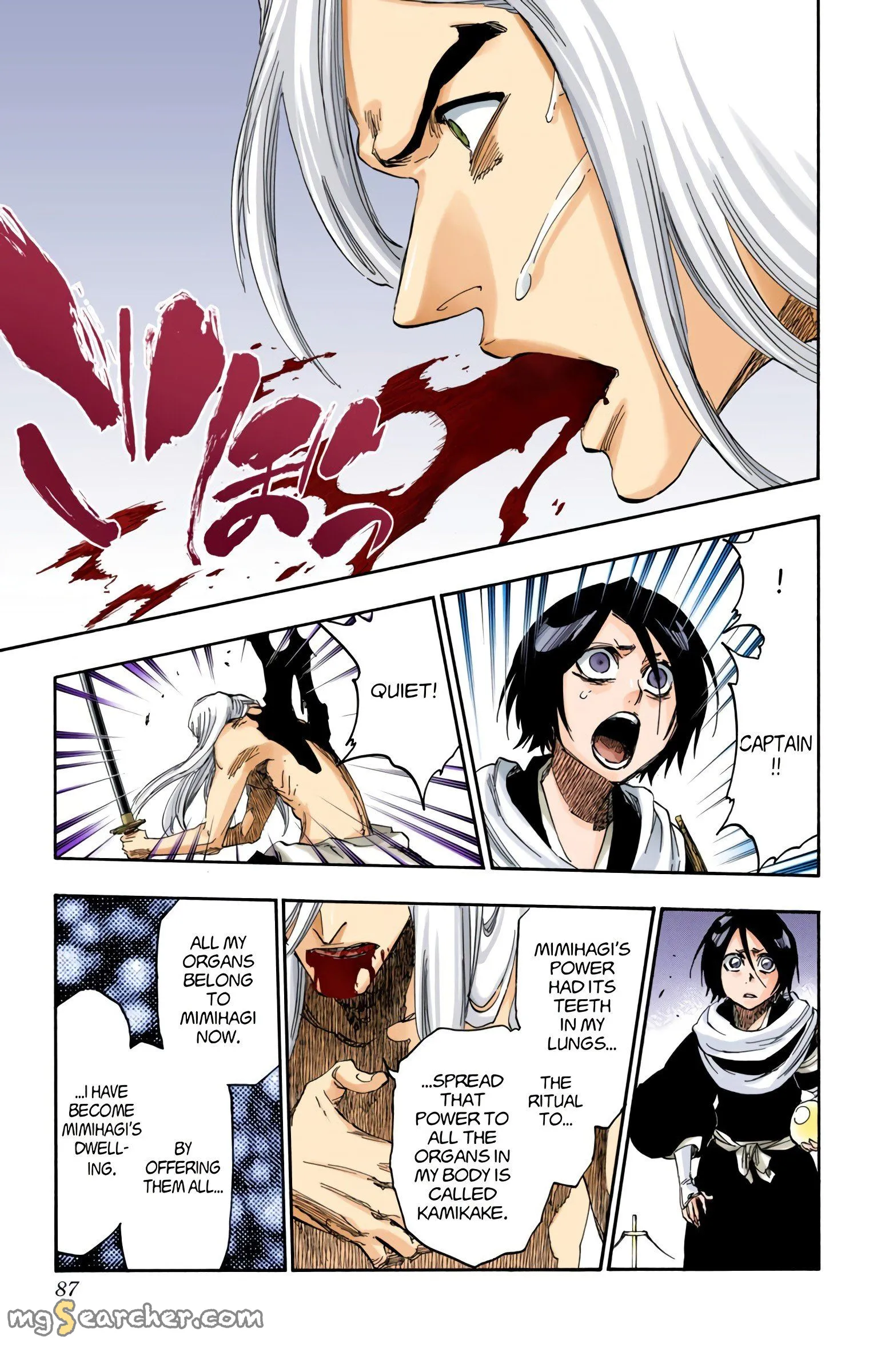 Read Bleach (Colored) EN Manga Online
