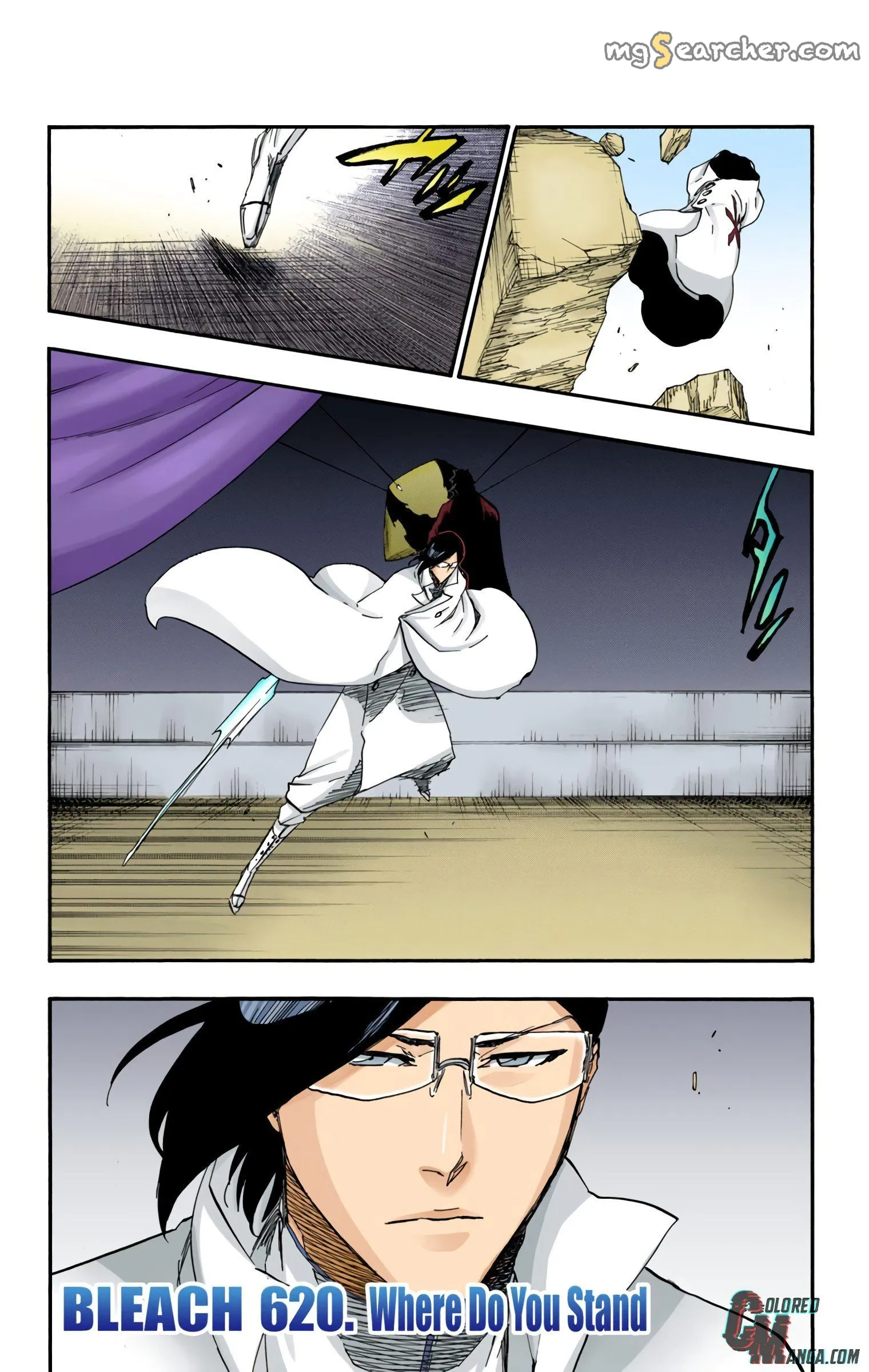 Read Bleach (Colored) EN Manga Online
