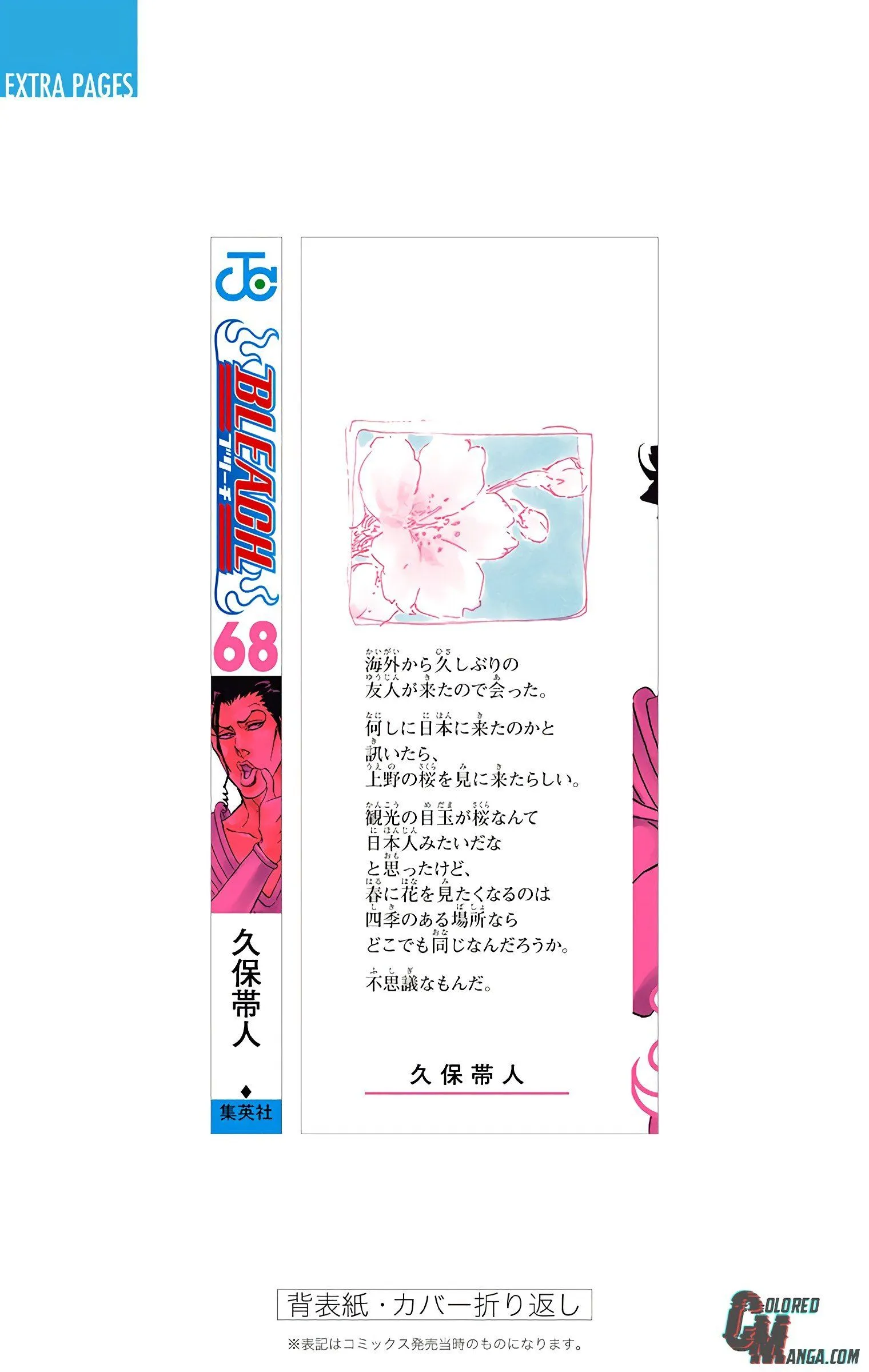 Read Bleach (Colored) EN Manga Online