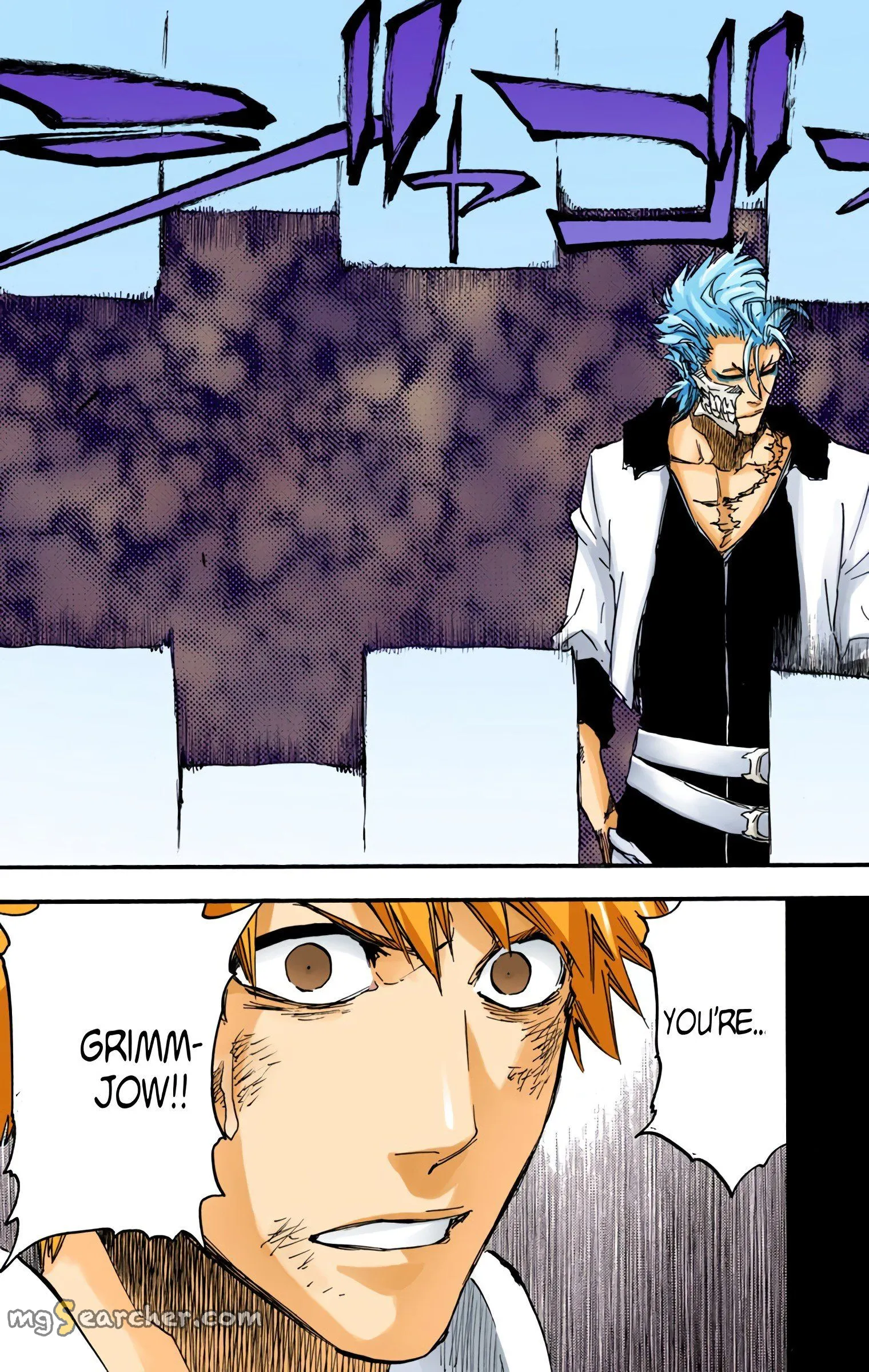 Read Bleach (Colored) EN Manga Online