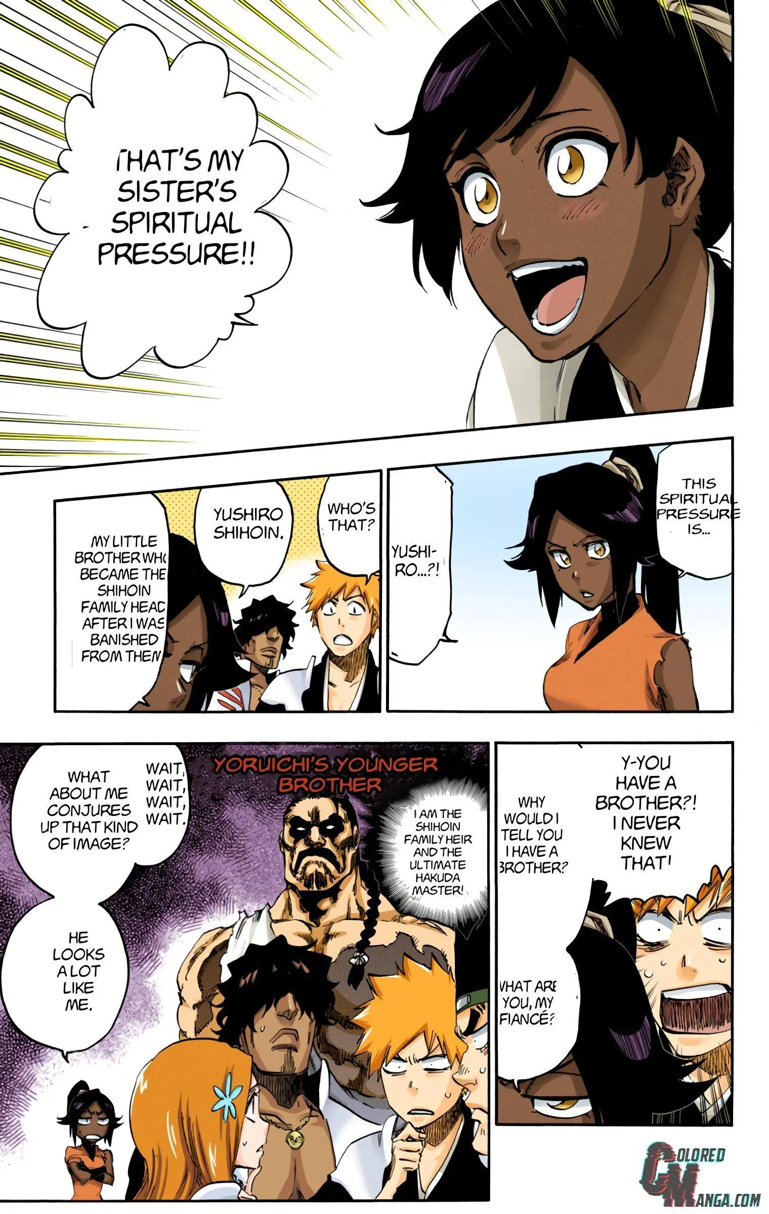 Read Bleach (Colored) EN Manga Online