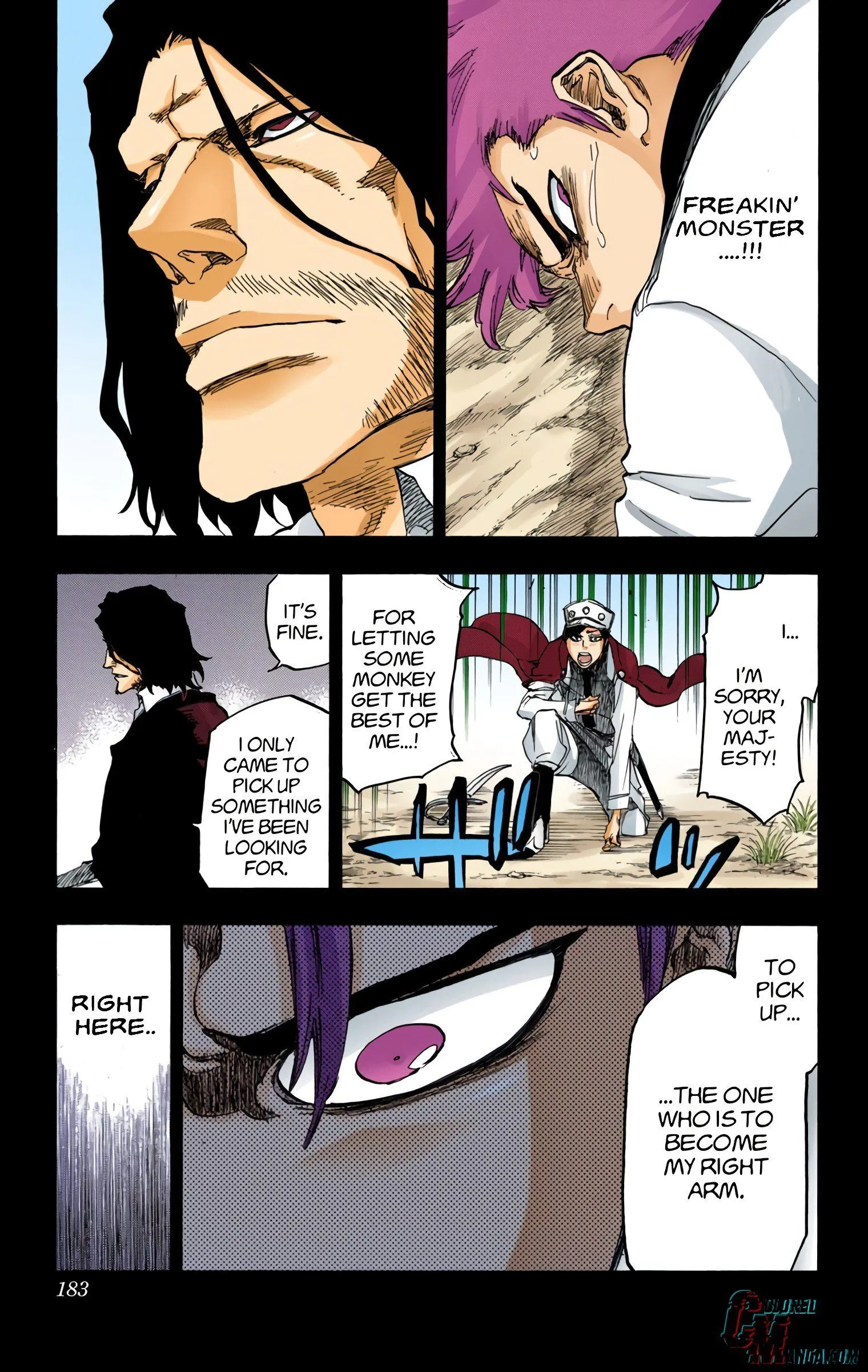 Read Bleach (Colored) EN Manga Online