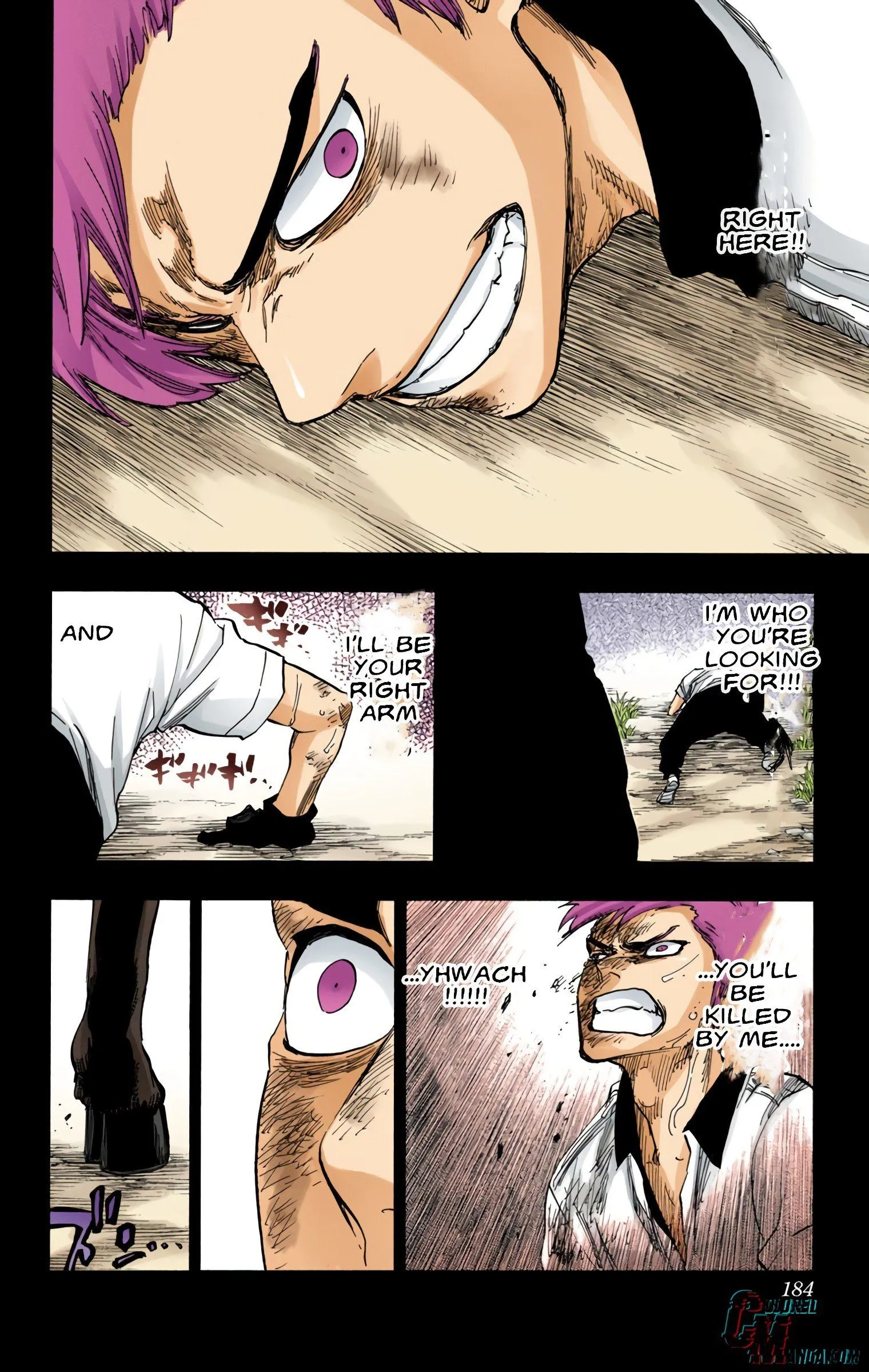 Read Bleach (Colored) EN Manga Online