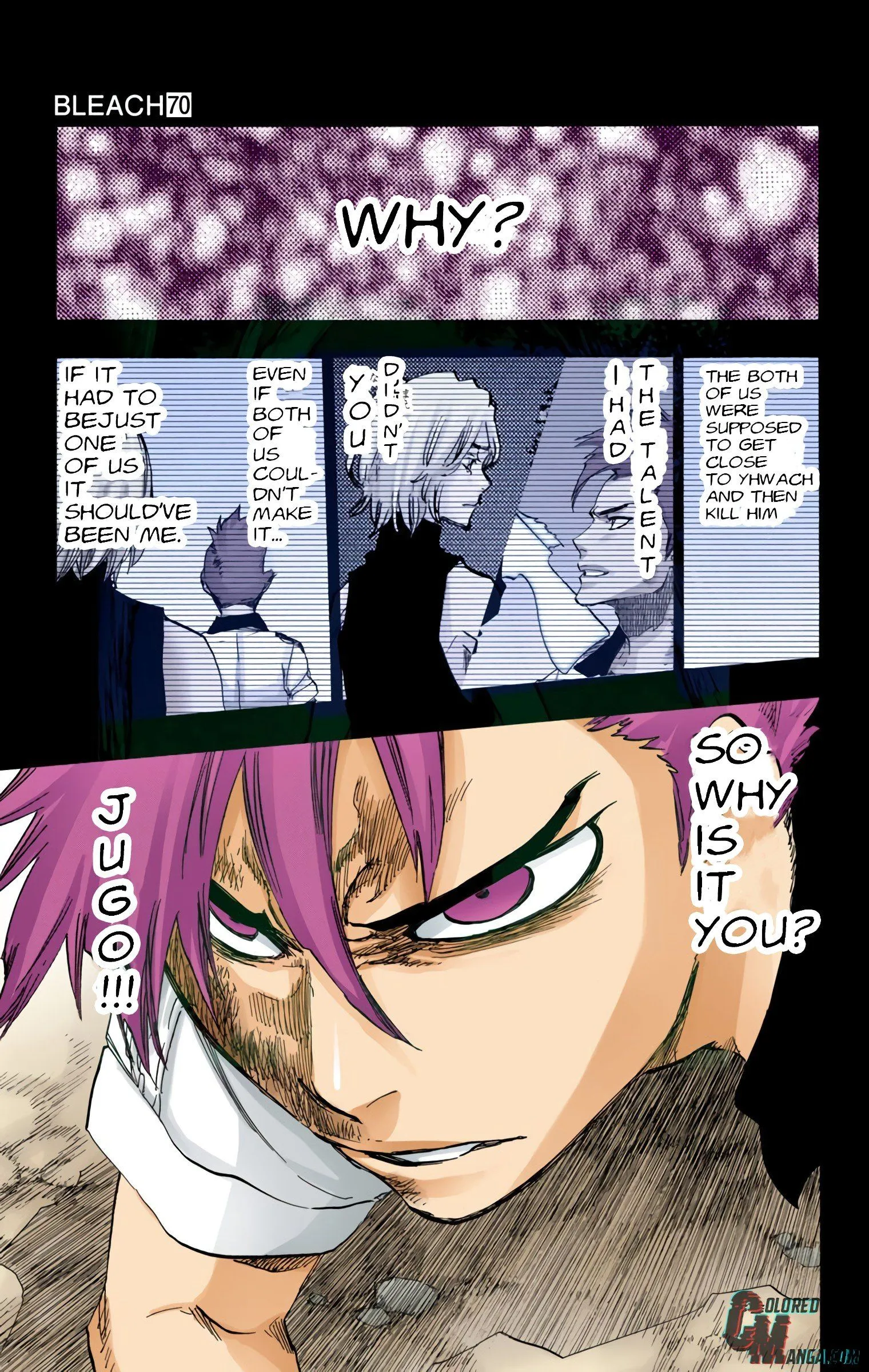 Read Bleach (Colored) EN Manga Online