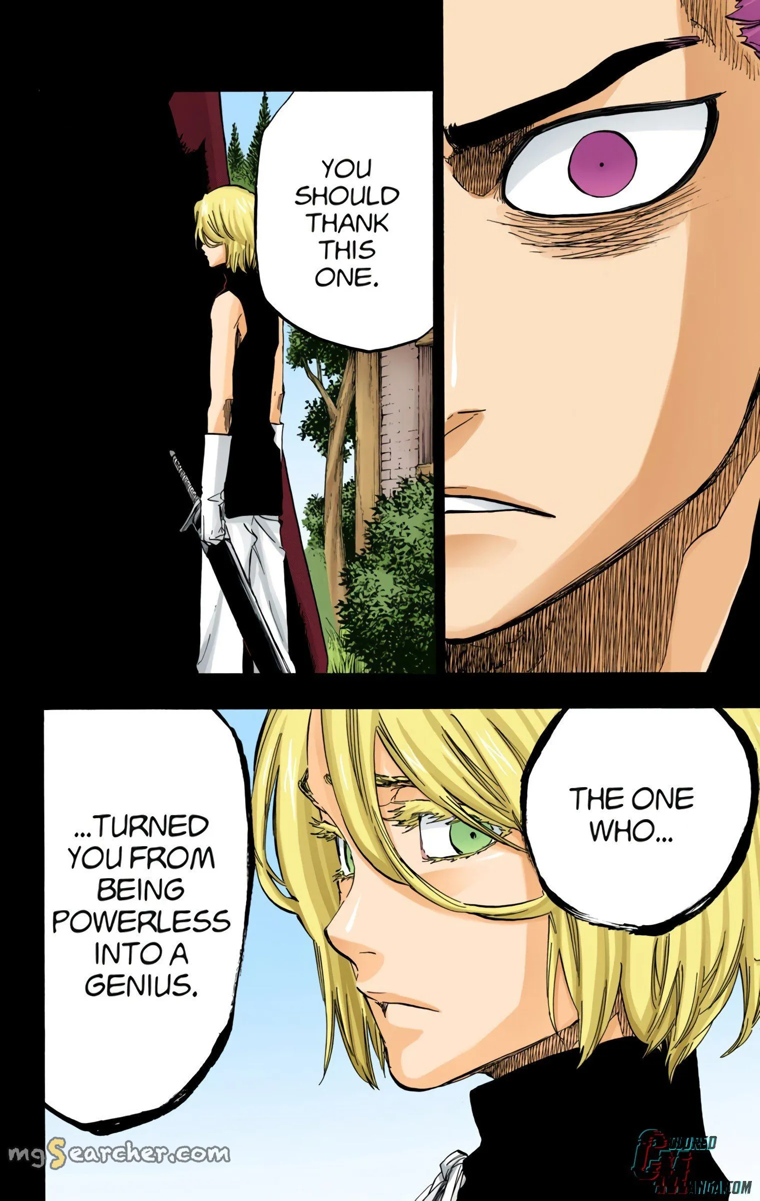 Read Bleach (Colored) EN Manga Online