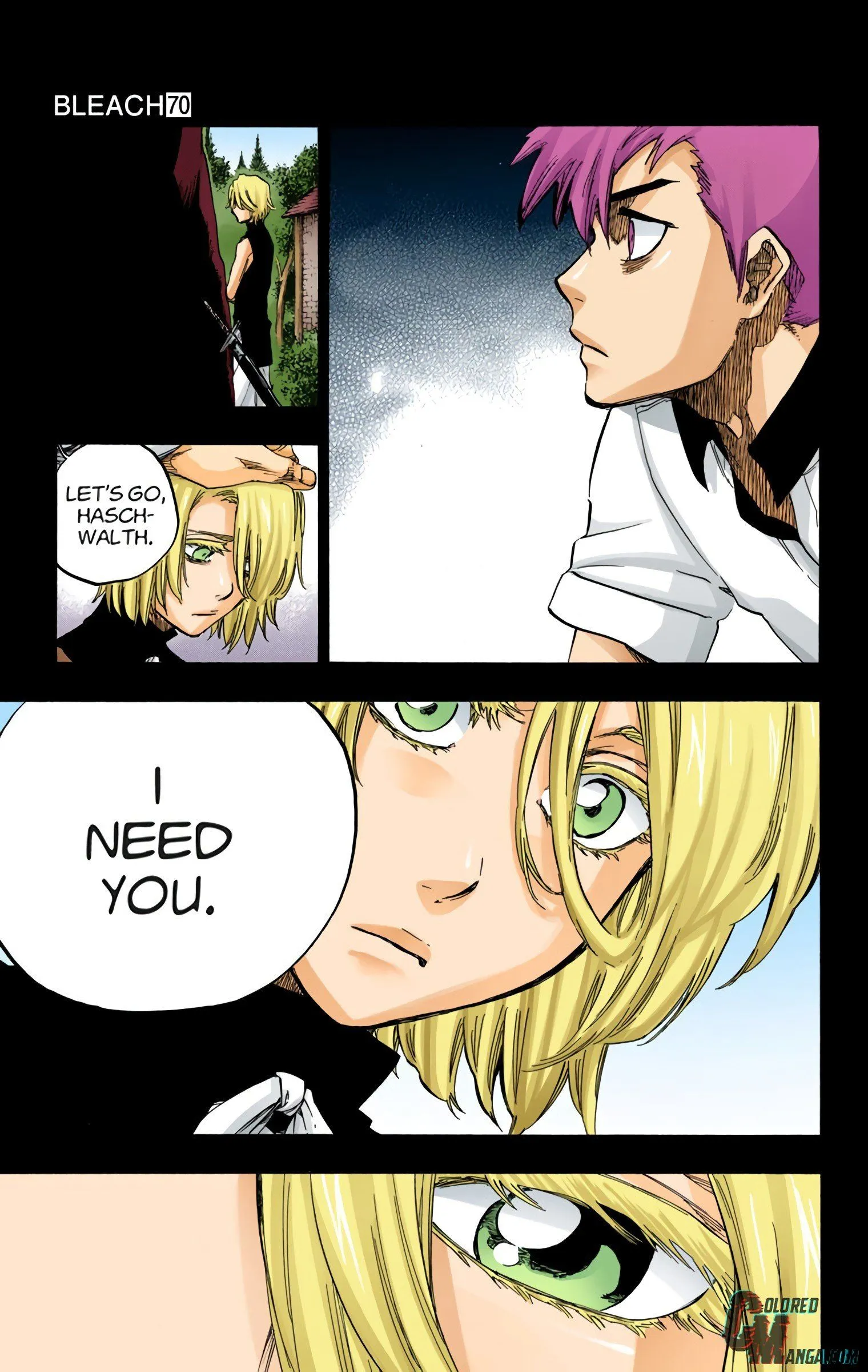 Read Bleach (Colored) EN Manga Online