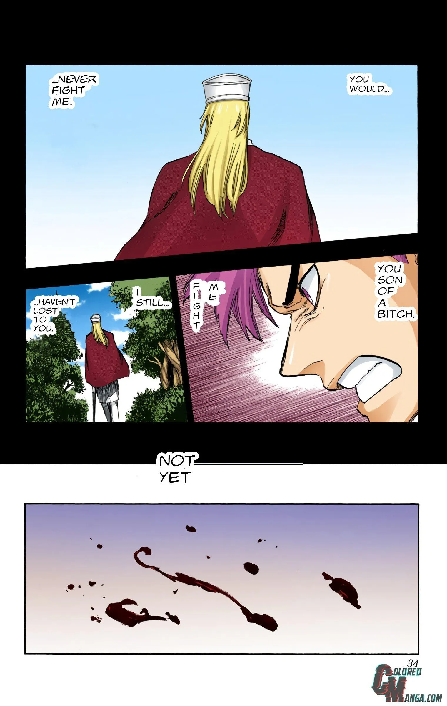 Read Bleach (Colored) EN Manga Online