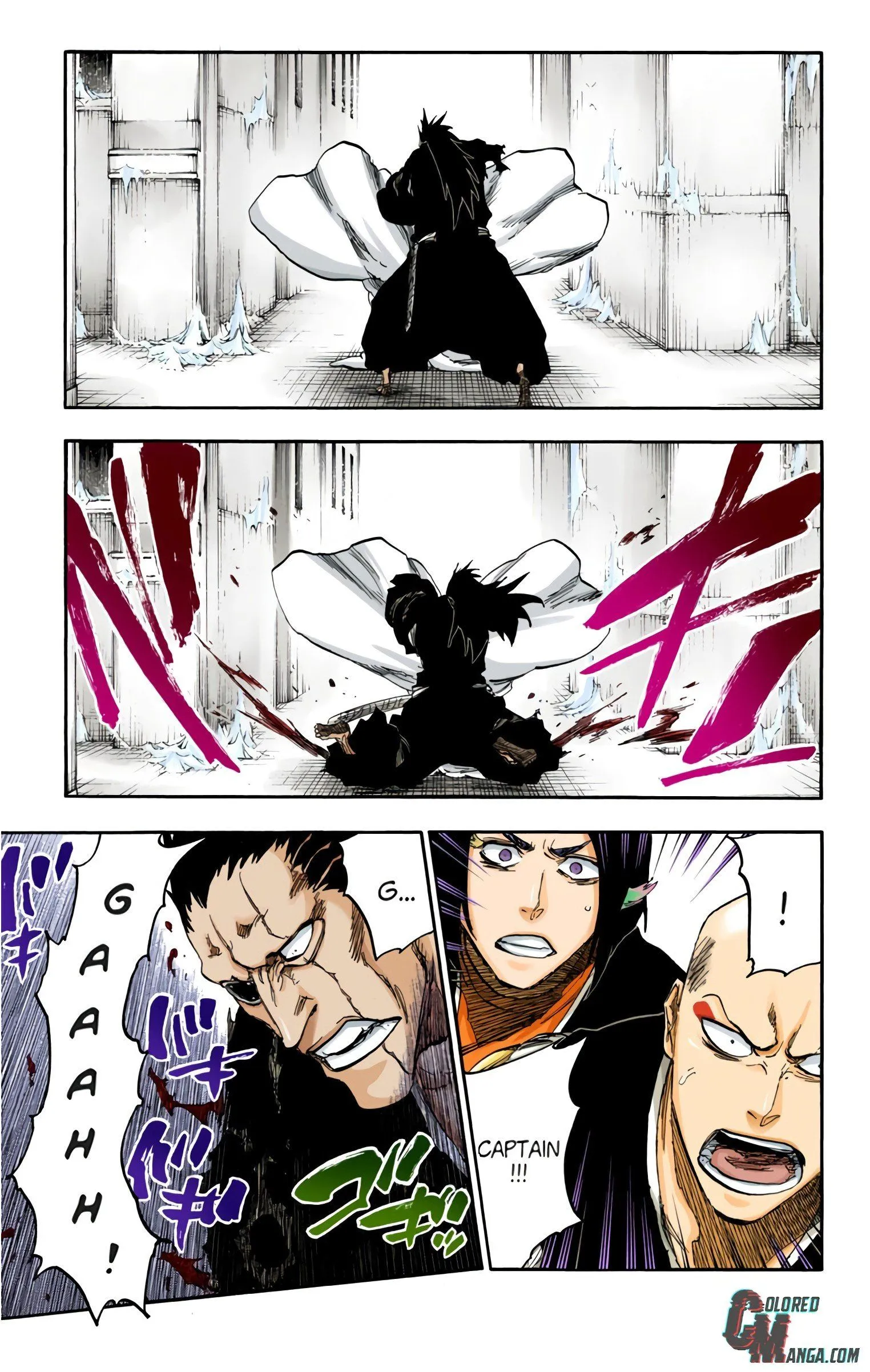 Read Bleach (Colored) EN Manga Online