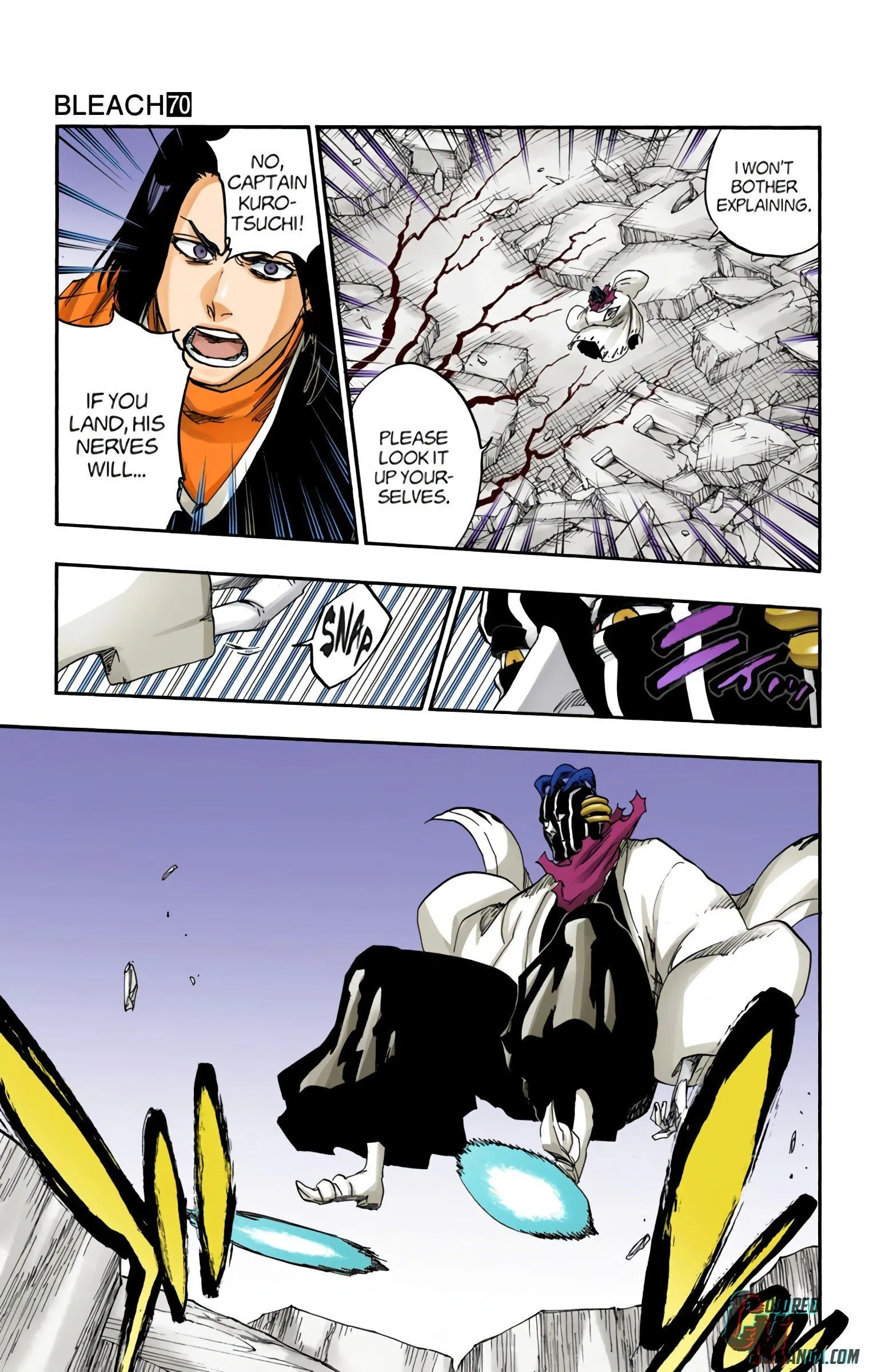 Read Bleach (Colored) EN Manga Online