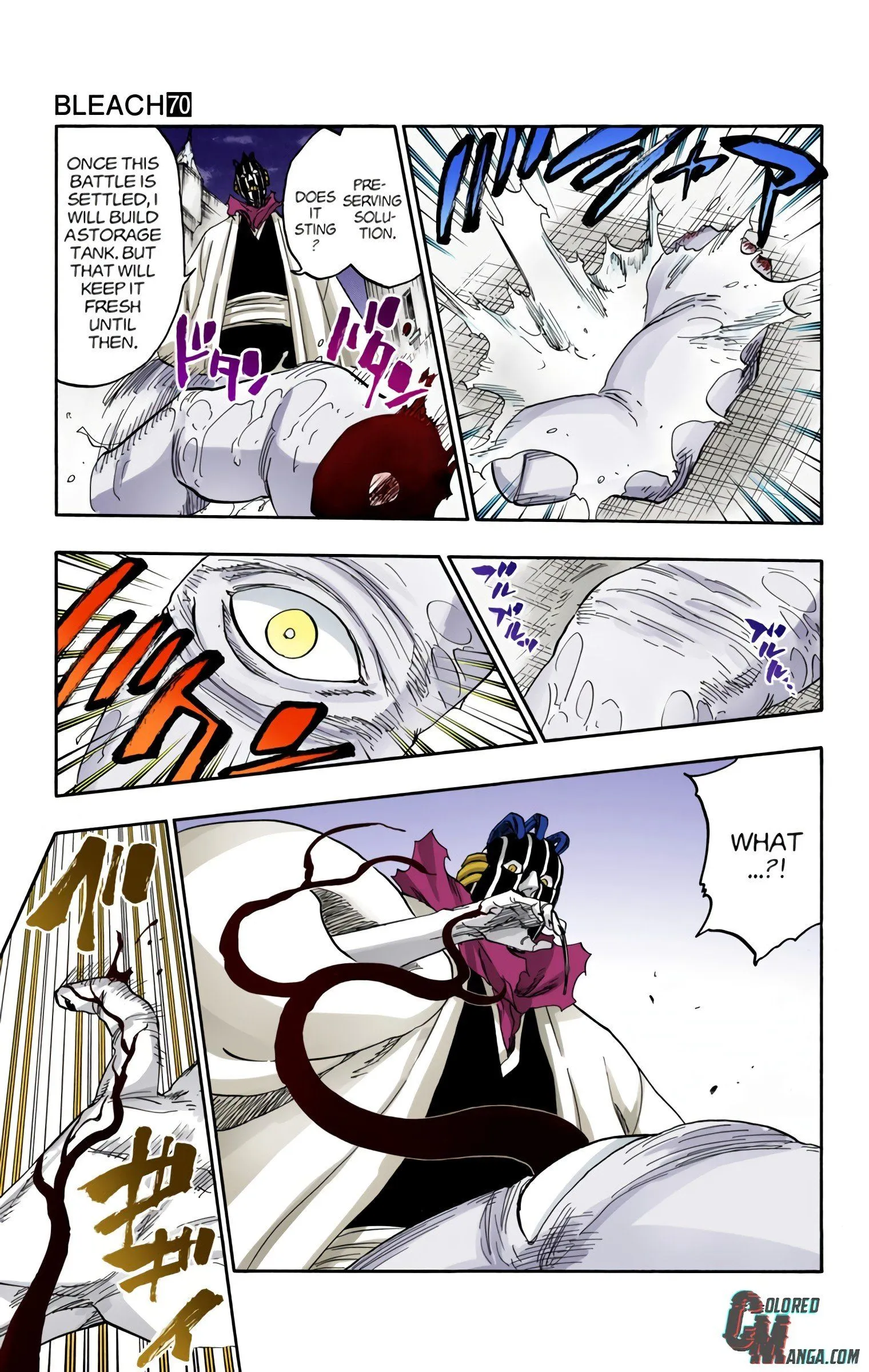 Read Bleach (Colored) EN Manga Online