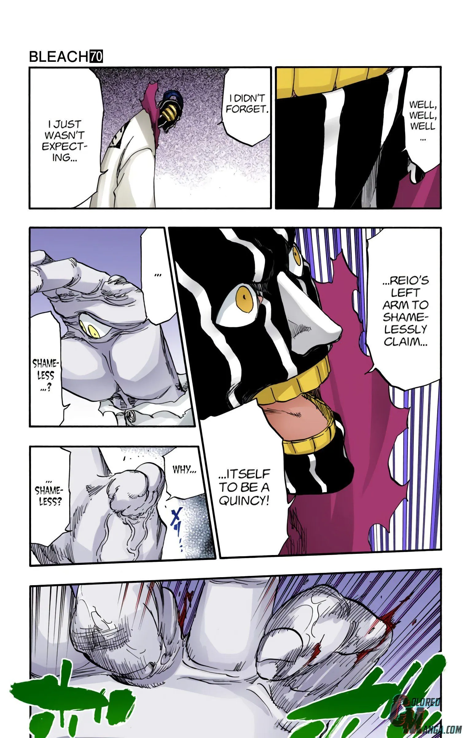 Read Bleach (Colored) EN Manga Online