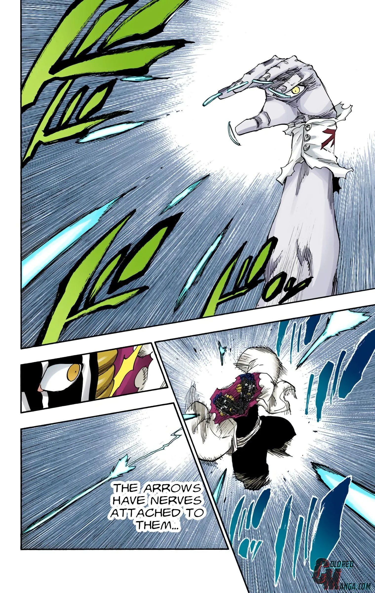 Read Bleach (Colored) EN Manga Online