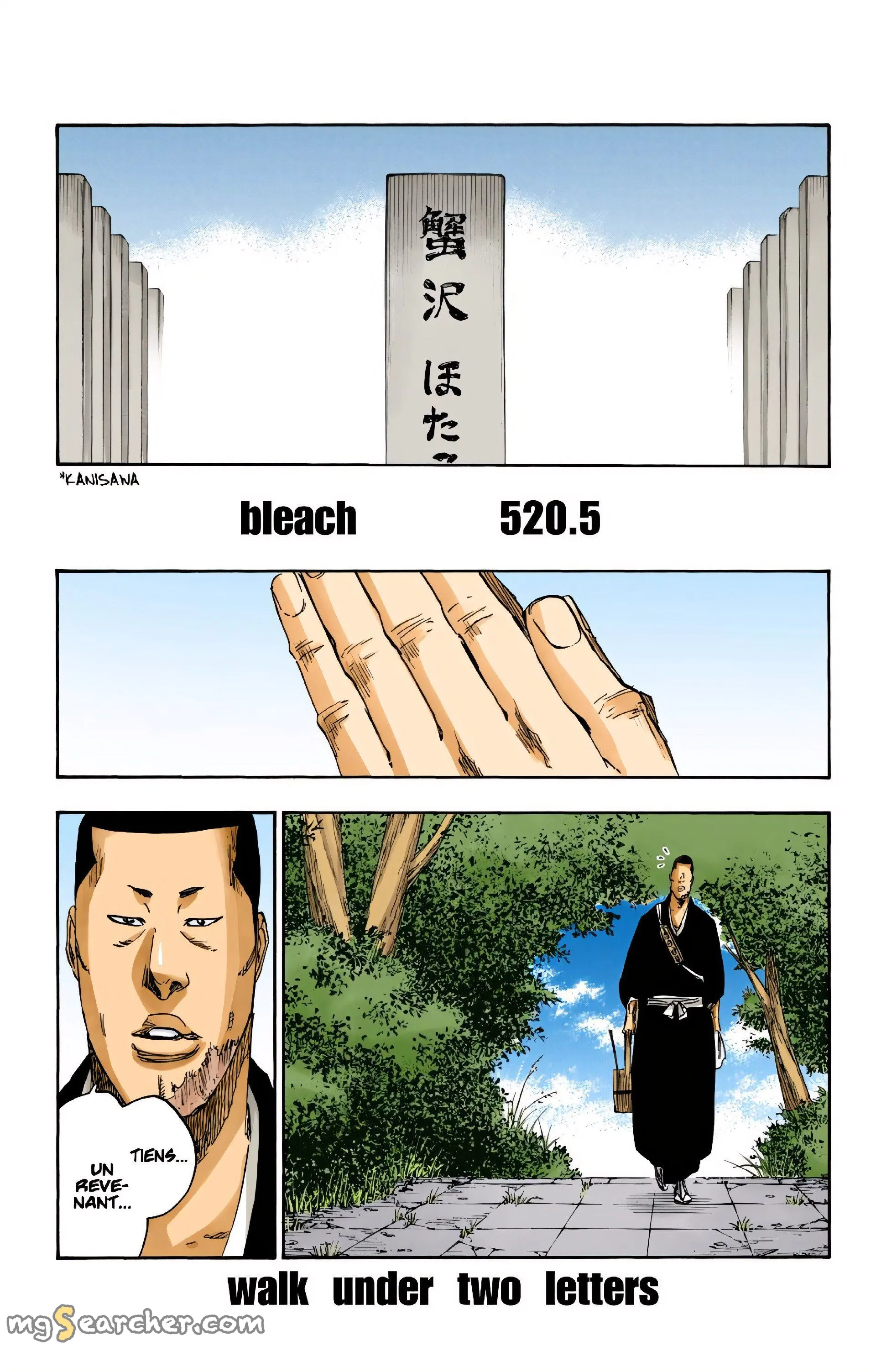 Read Bleach (Colored) EN Manga Online