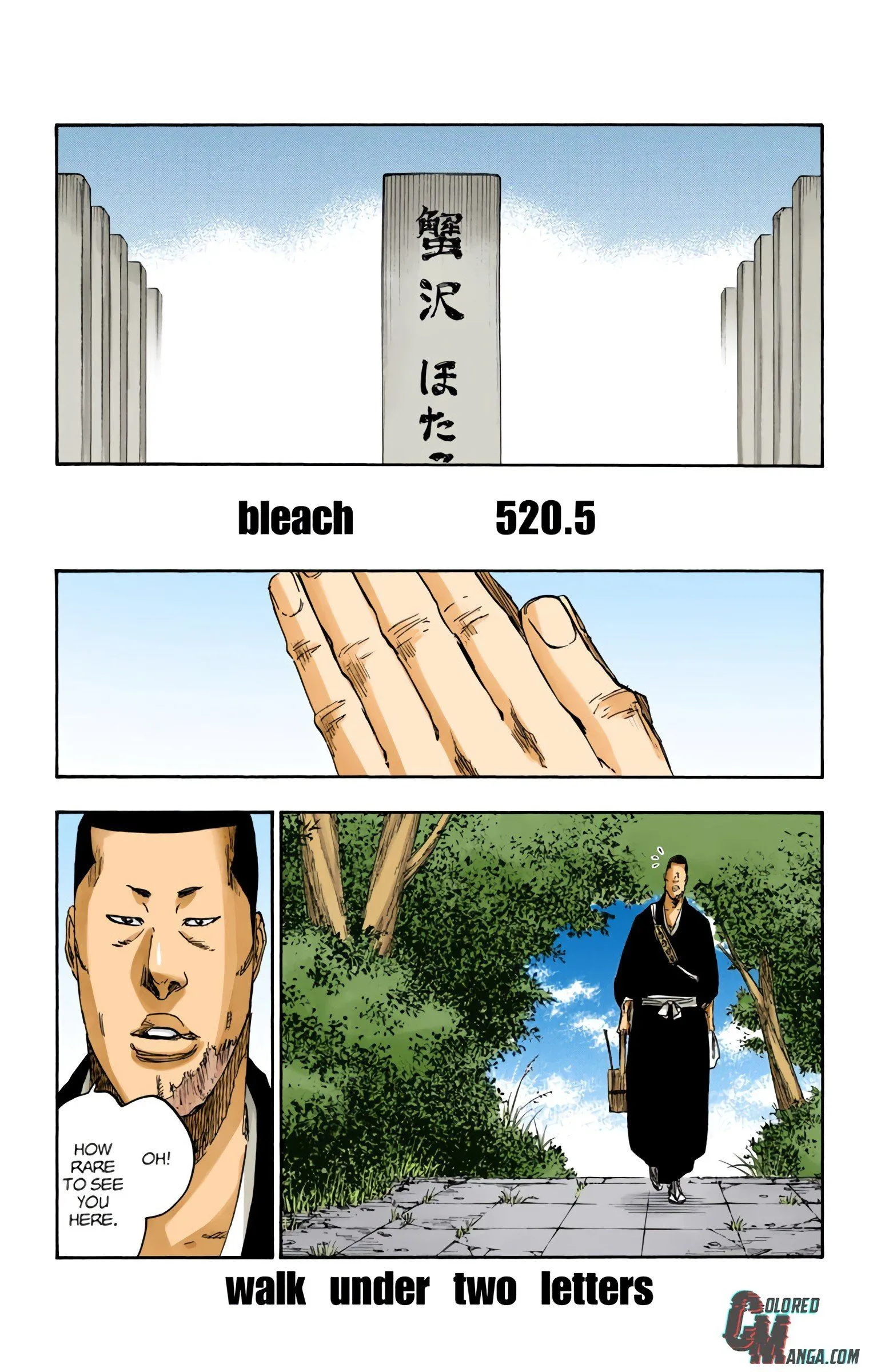 Read Bleach (Colored) EN Manga Online