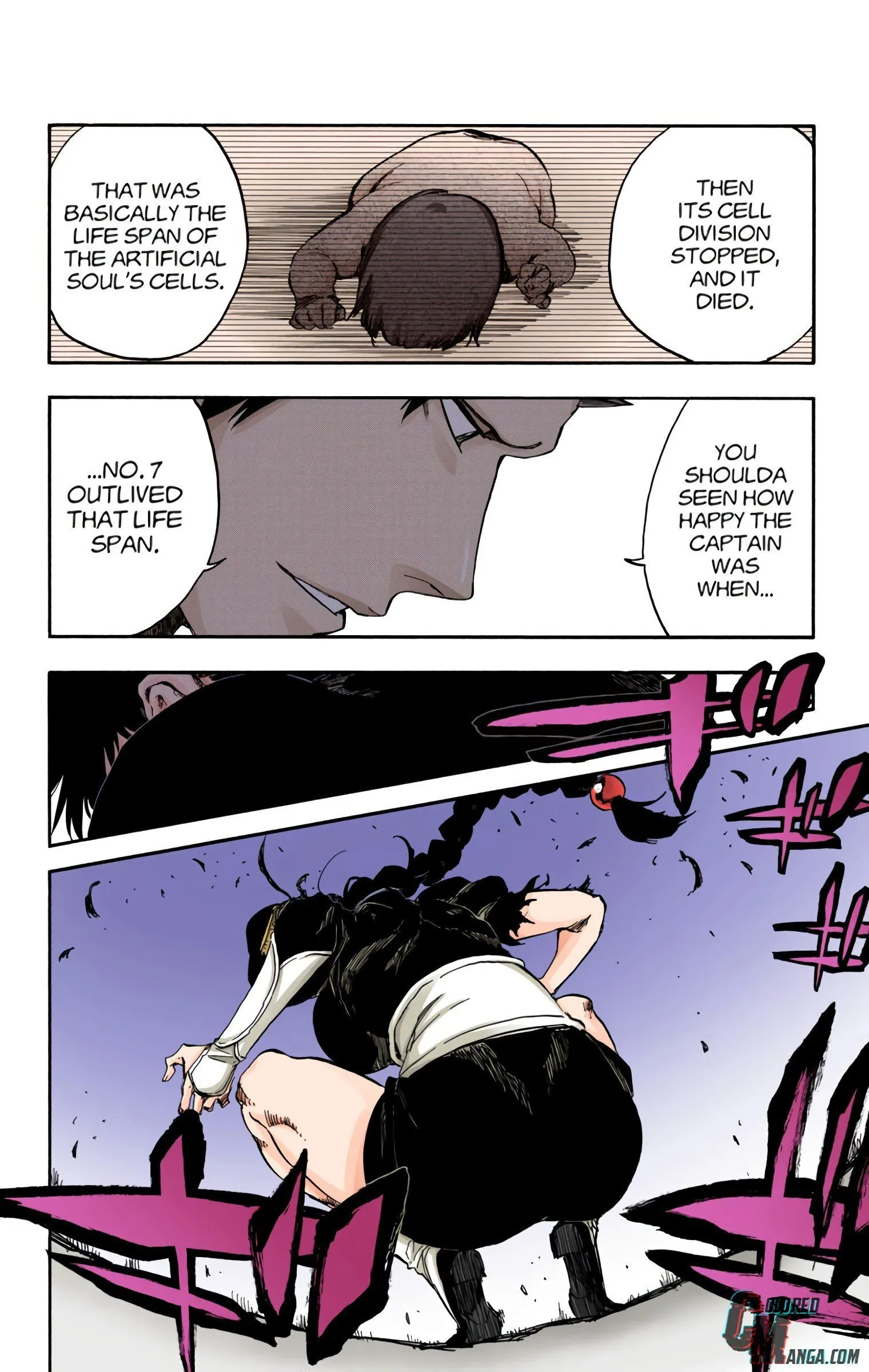 Read Bleach (Colored) EN Manga Online