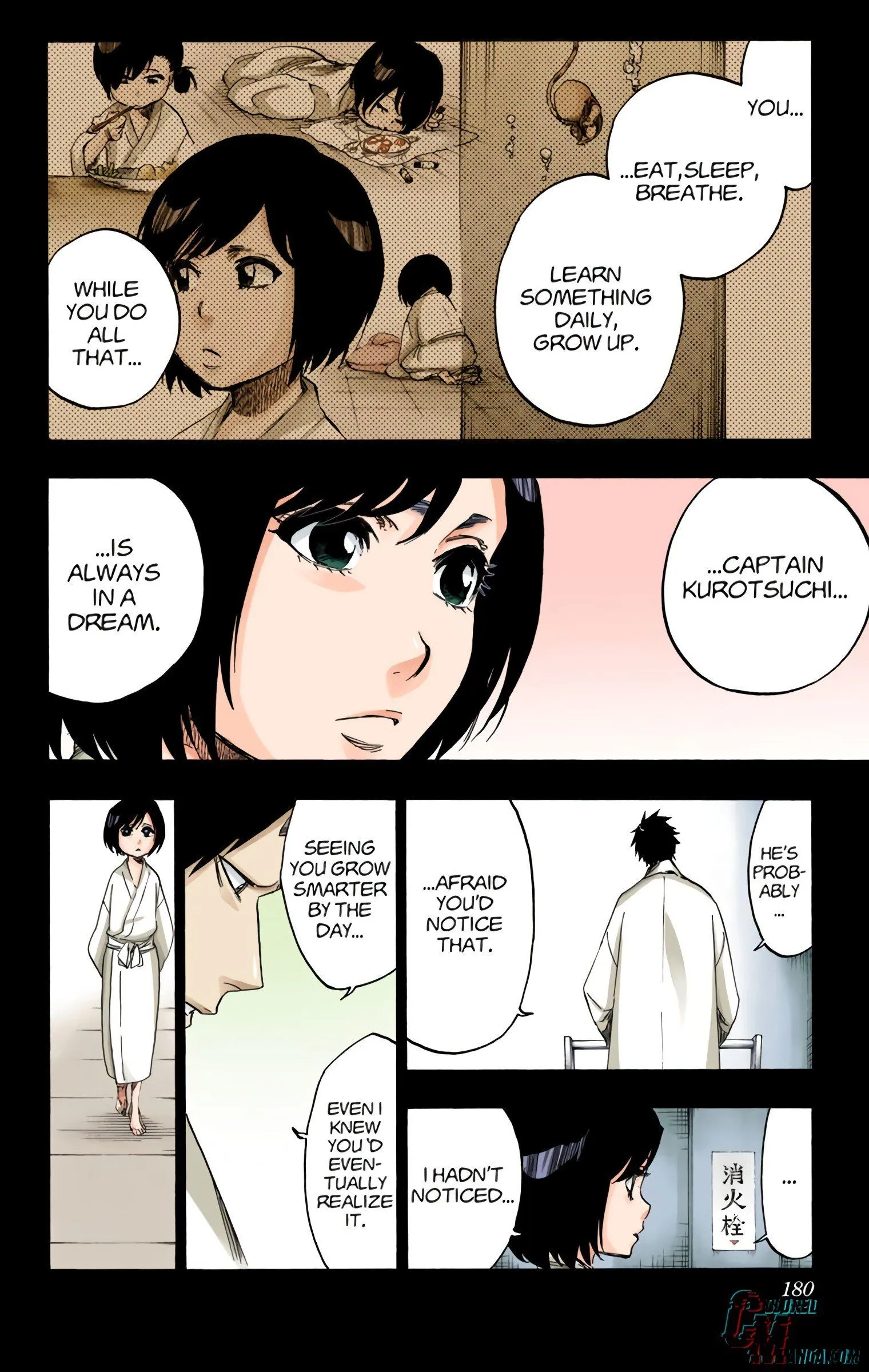 Read Bleach (Colored) EN Manga Online
